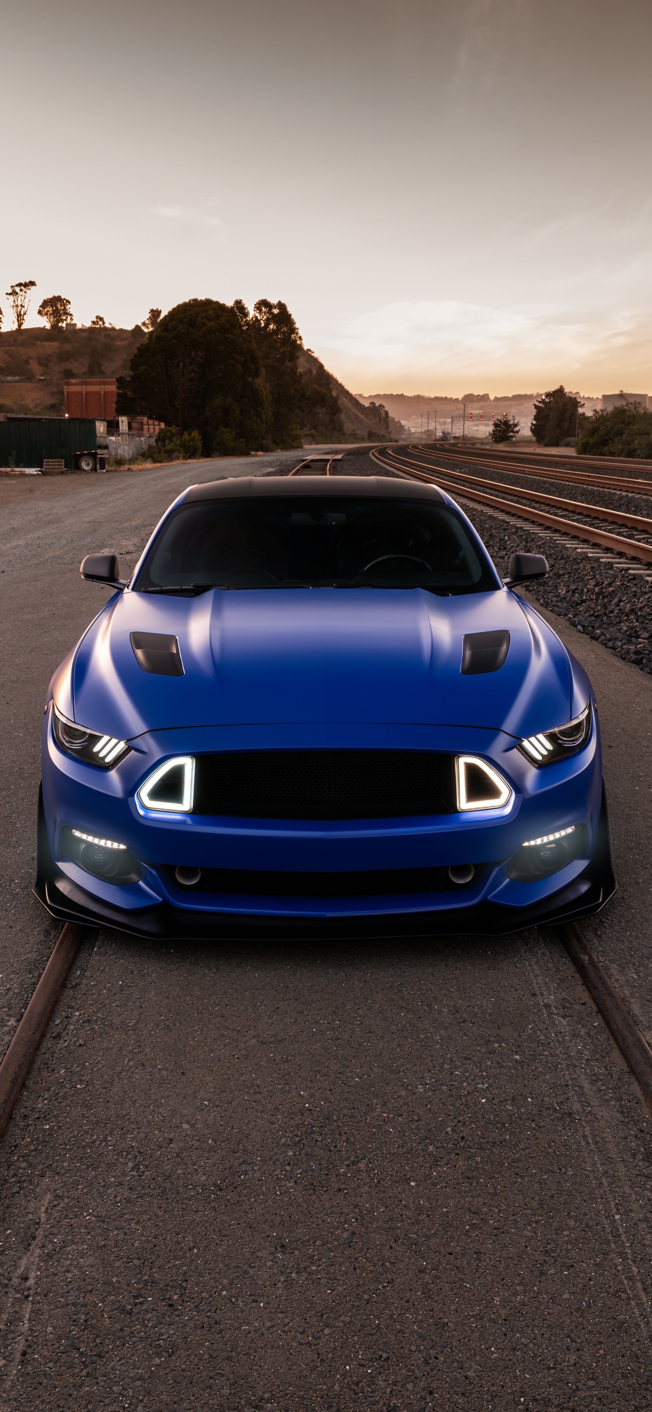 Details More Than Cool Mustang Wallpapers Super Hot In Cdgdbentre