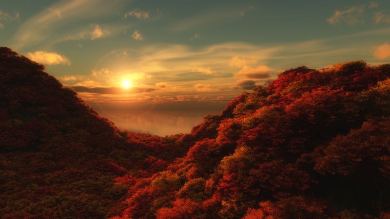 Red Trees Wallpaper 4K, Sunrise, Cloudy Sky, Nature, #3897