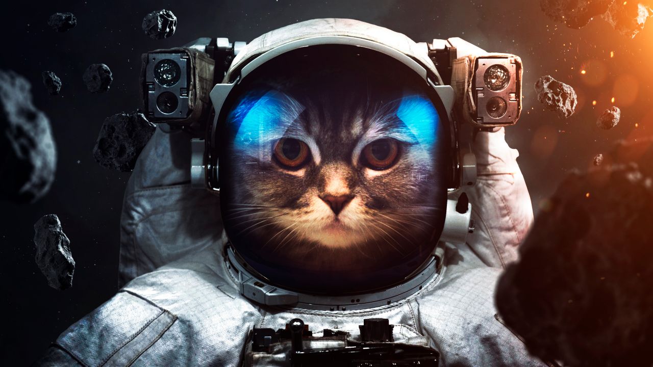 Space Suit 4K Wallpaper, Cat, Asteroids, Astronaut, Stars, Space, #2483