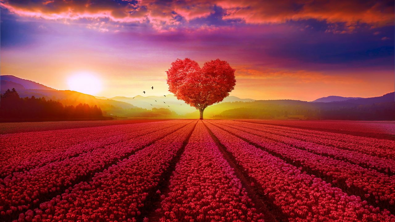 Heart tree 4K Wallpaper, Flower garden, Red flowers, Landscape, Scenery