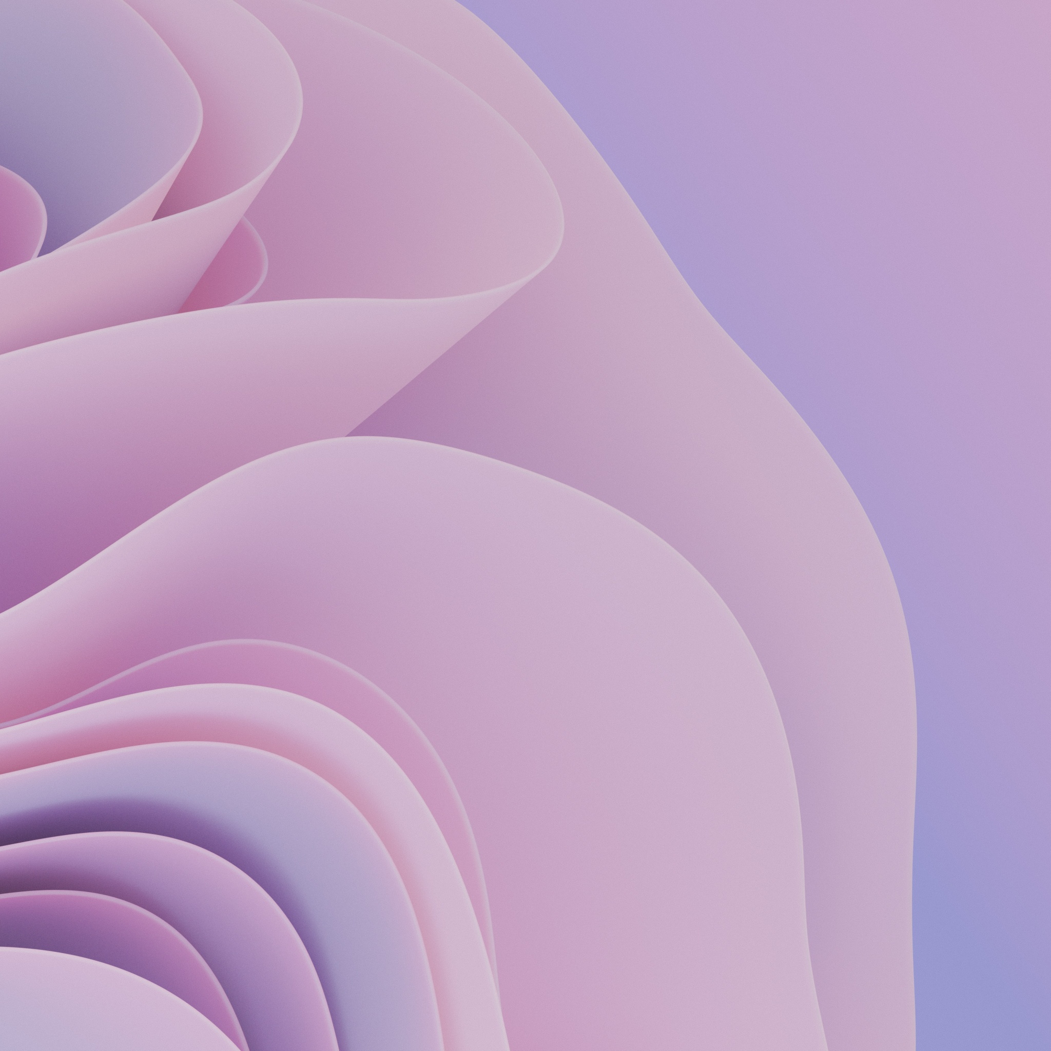 Wallpaper abstract 4k 5k wallpaper font typography pink shape 3D OS  13118