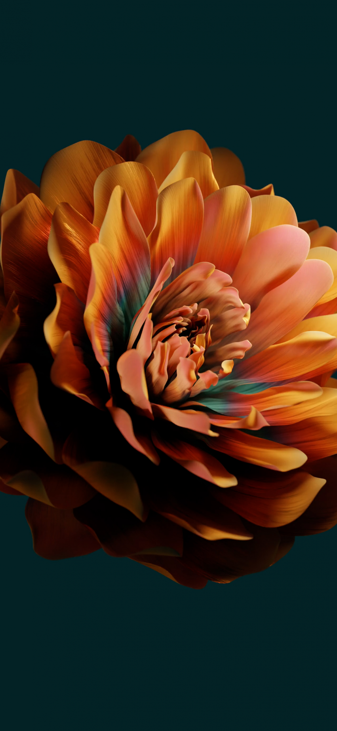 Abstract Flower Wallpaper 4k Dark
