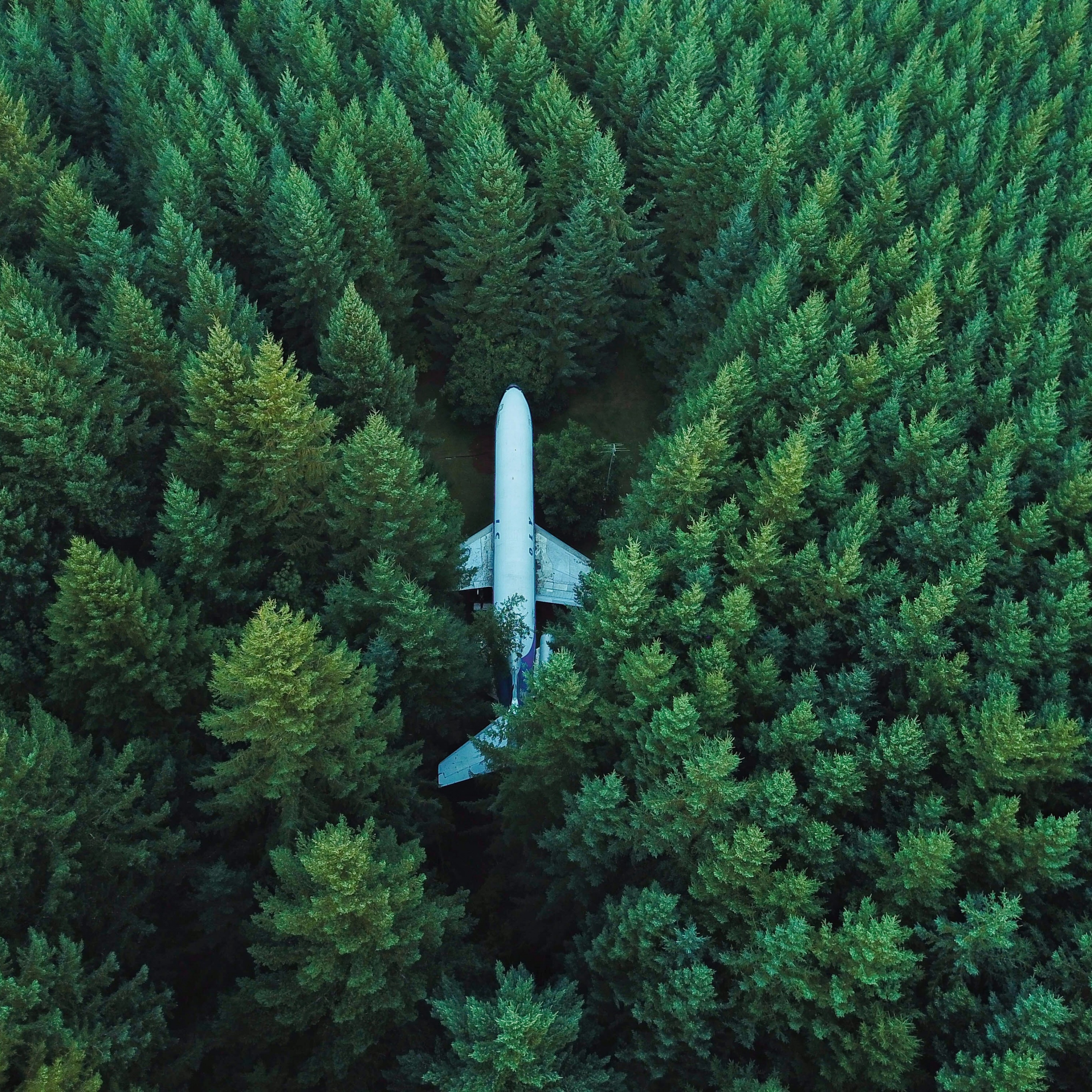 Airplane Wallpaper 4K, Green Trees, Photography, #2981