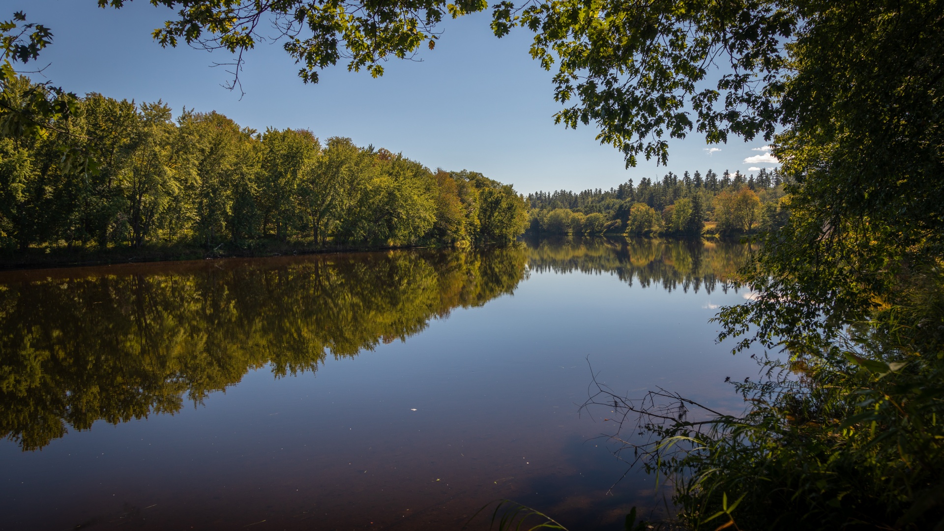 Androscoggin River 4K Wallpaper, Trees, Reflection, Pleasant, Sunny day