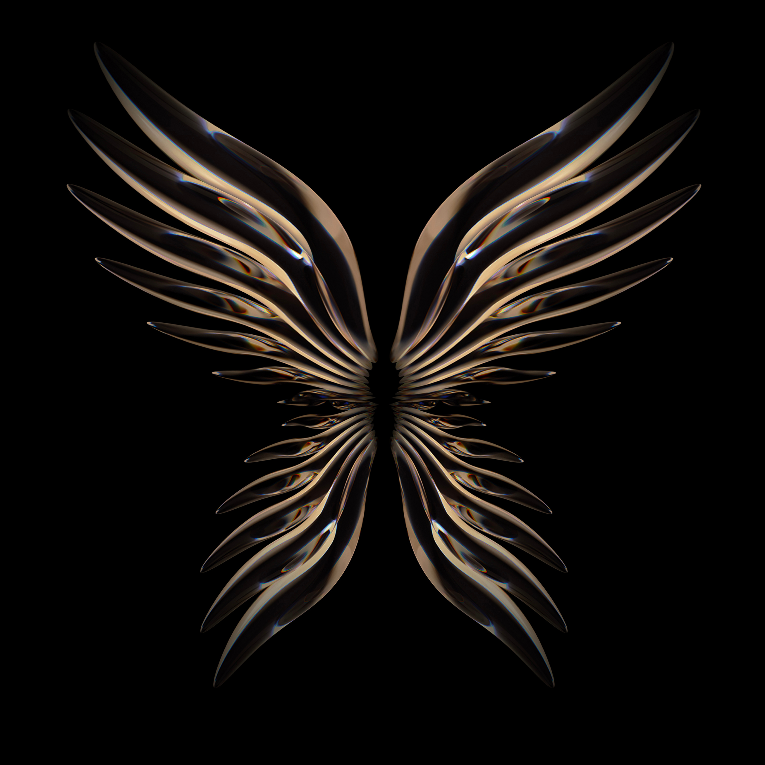 Wings wallpaper by Passion2edit - Download on ZEDGE™ | 9506