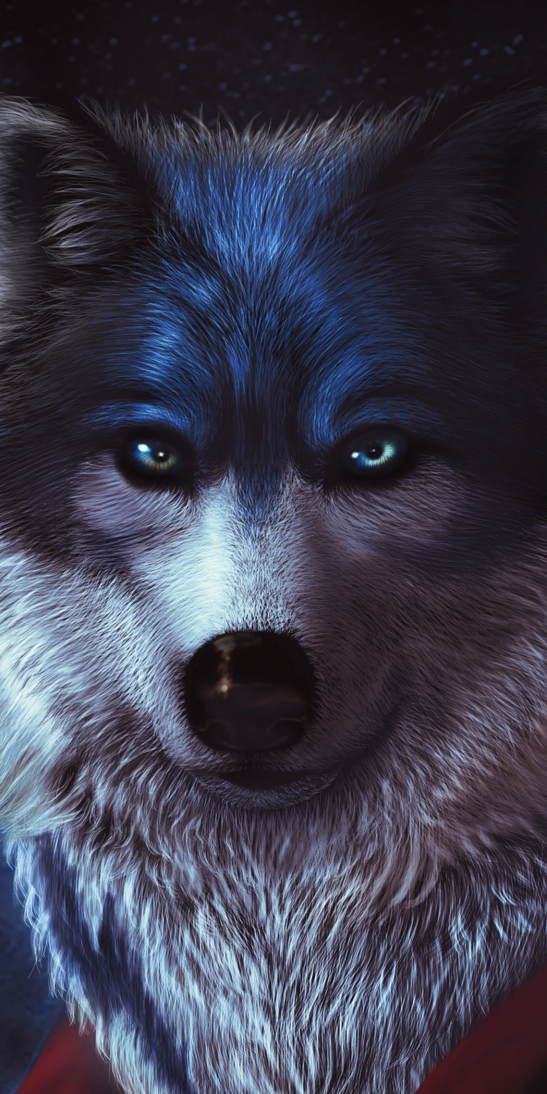Arctic wolf Wallpaper 4K, CGI, Predator, Animals, #8681