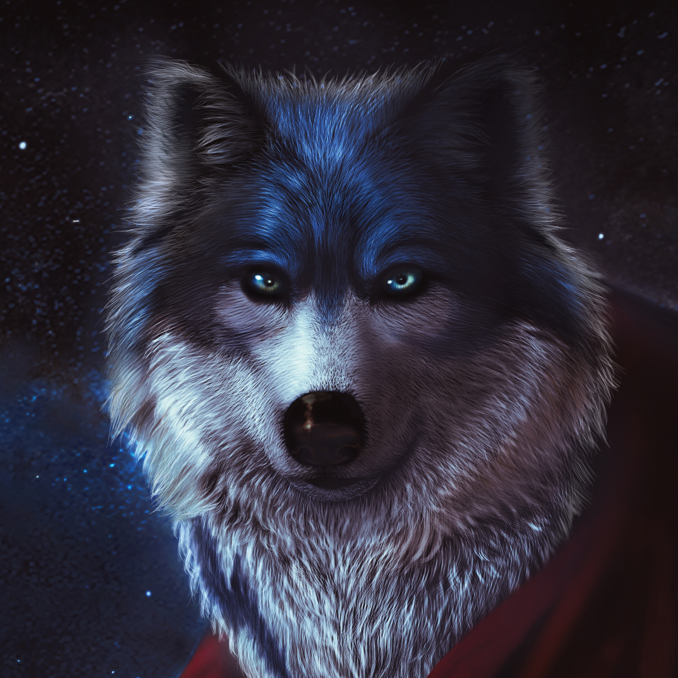 41 Anime Wolf Wallpapers for iPhone and Android by Scott Martinez