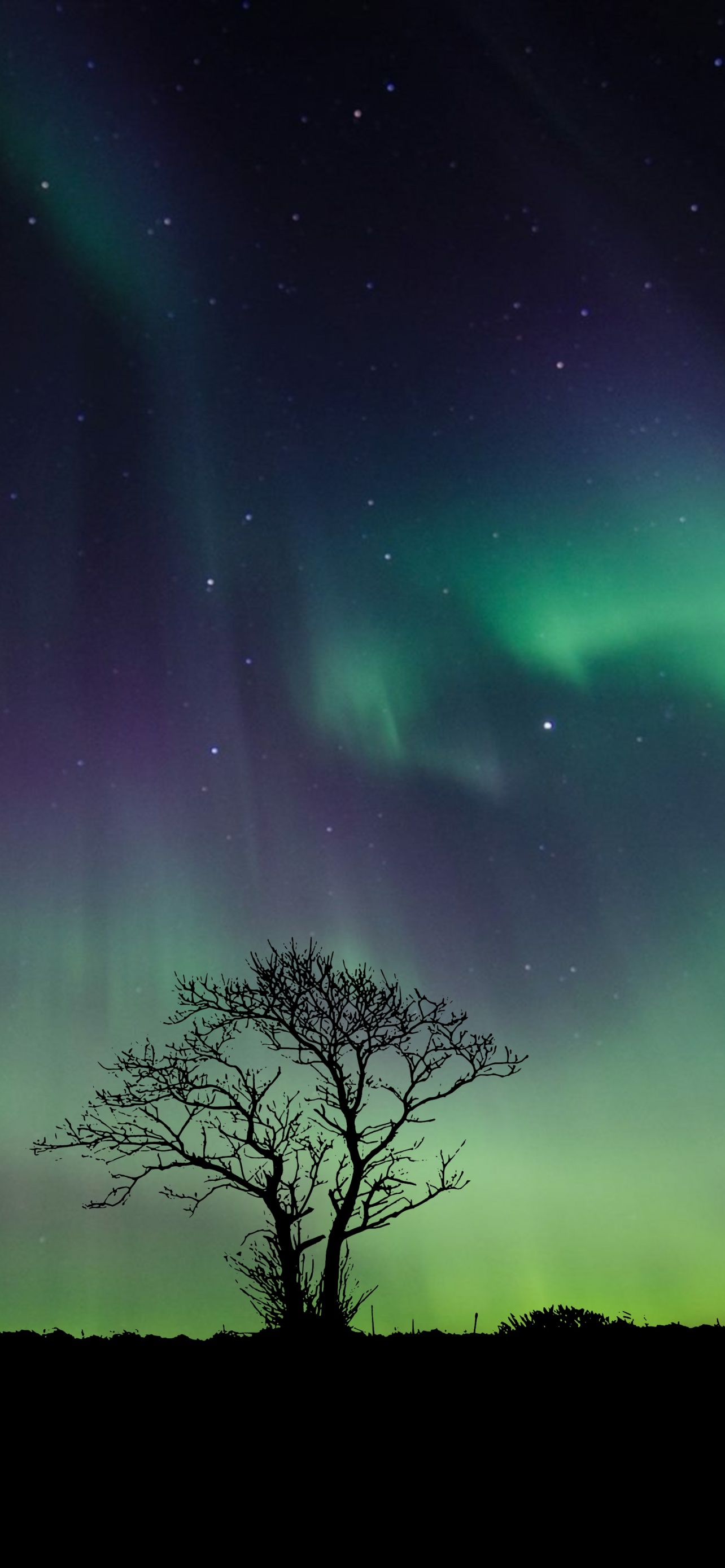 Download Lights of the sky A night sky glowing with the mysterious aurora  borealis Wallpaper  Wallpaperscom
