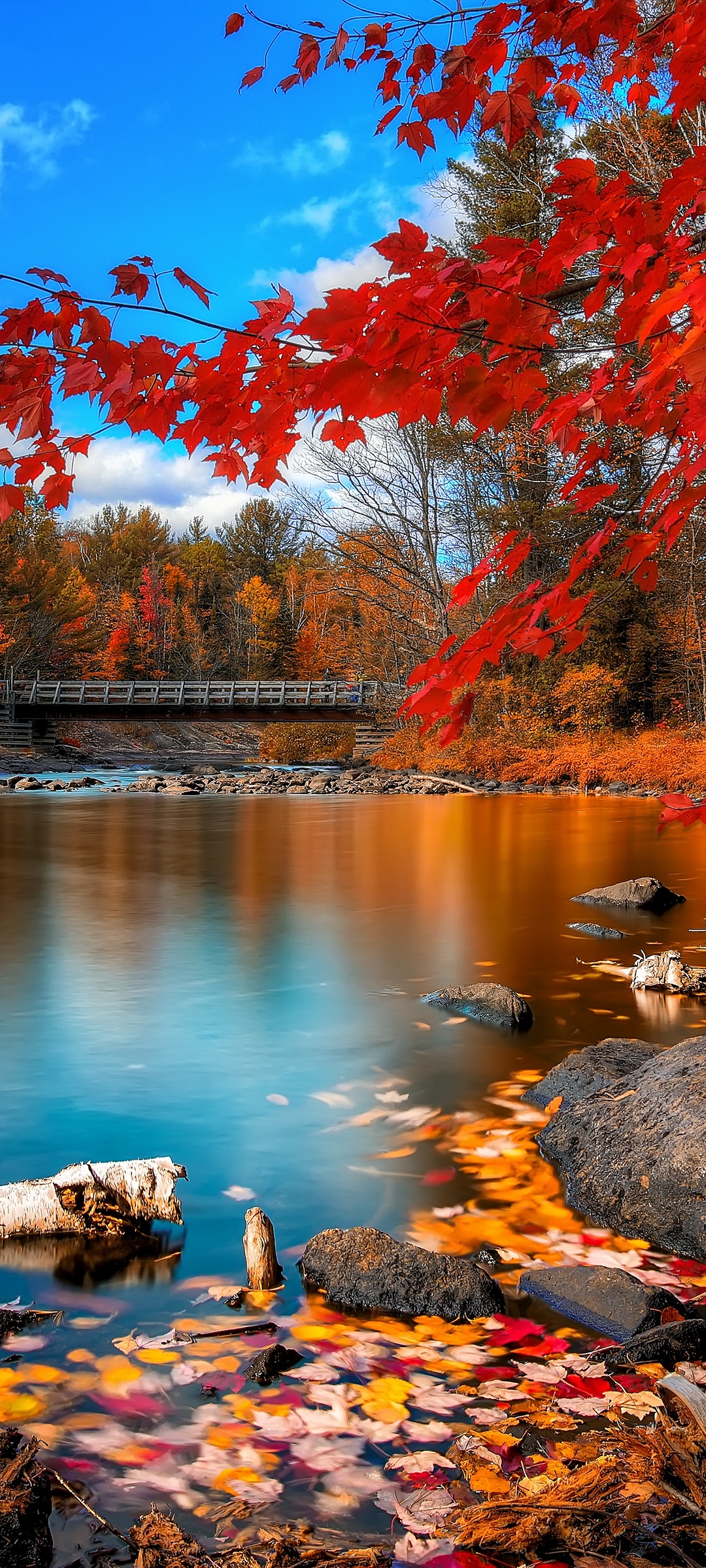Fall autumn fall scenes leaves nature splash stones HD phone  wallpaper  Peakpx