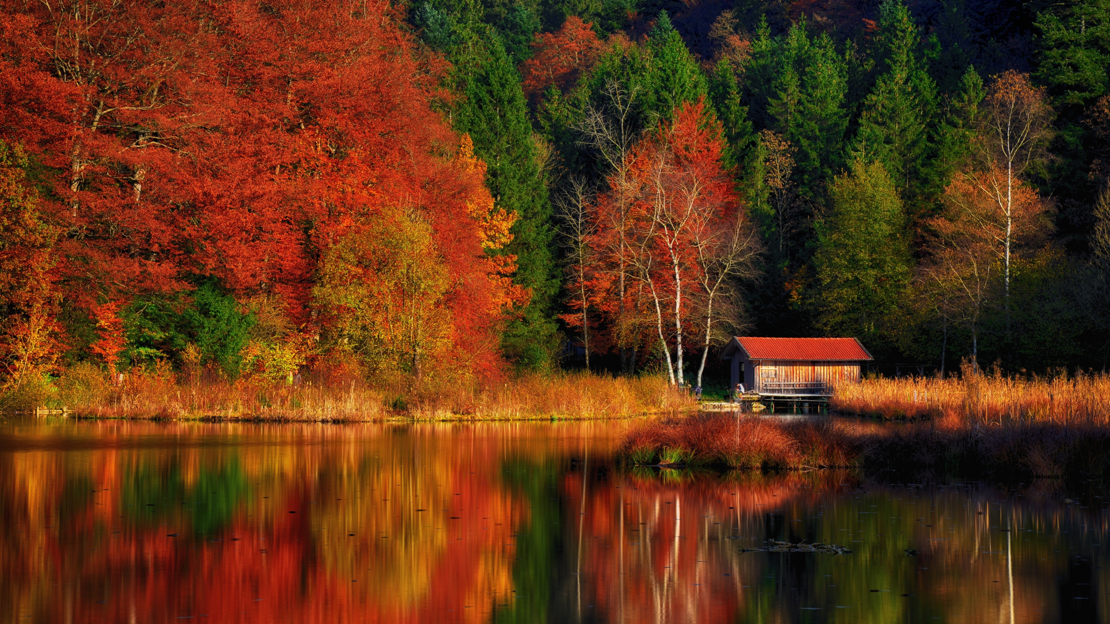 Autumn Scenery Wallpaper 4K, Lakeside, Colourful, Nature, #6388
