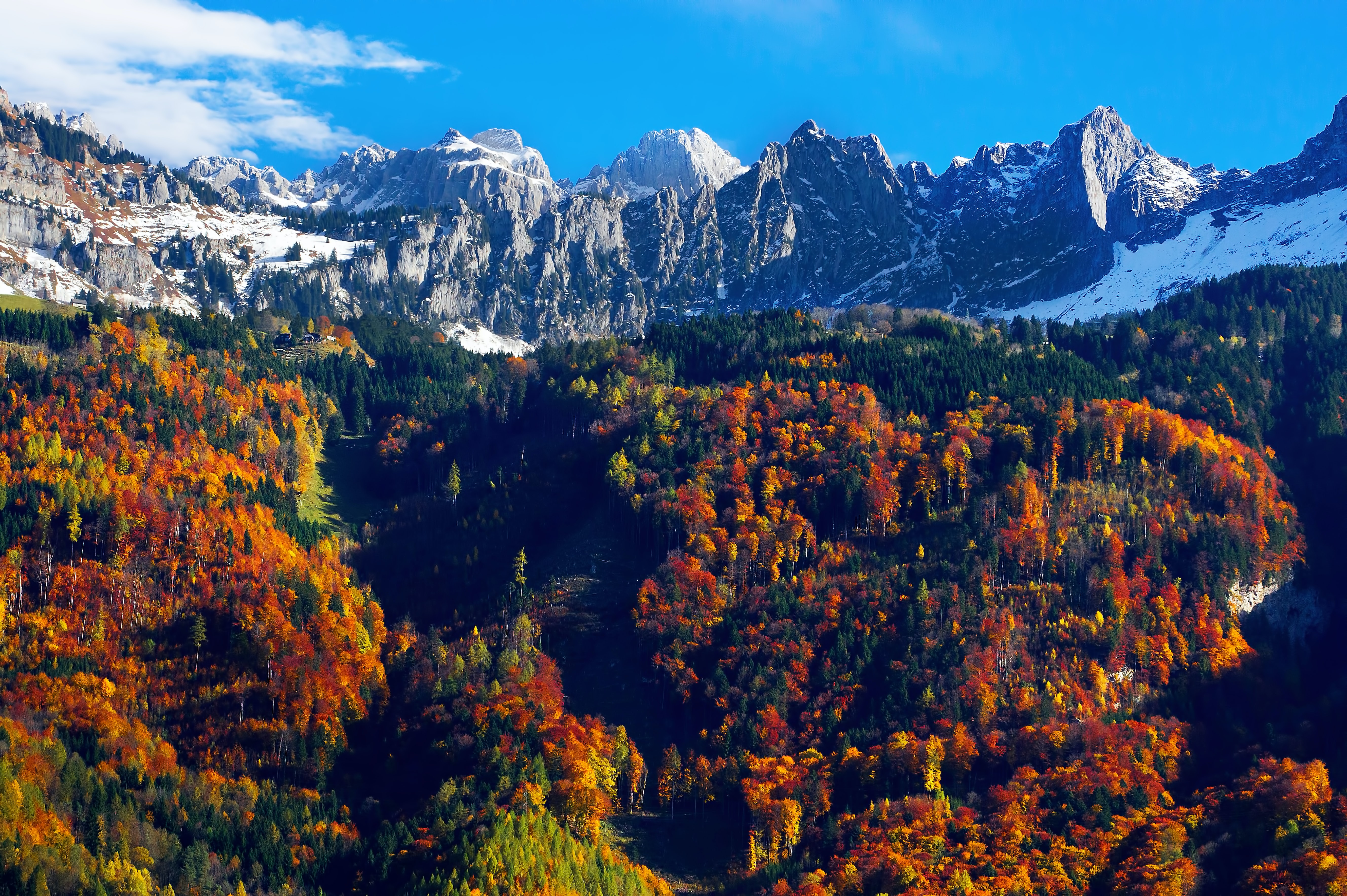 Autumn Trees 4k Wallpaper Snow Mountains Blue Sky Glacier Landscape
