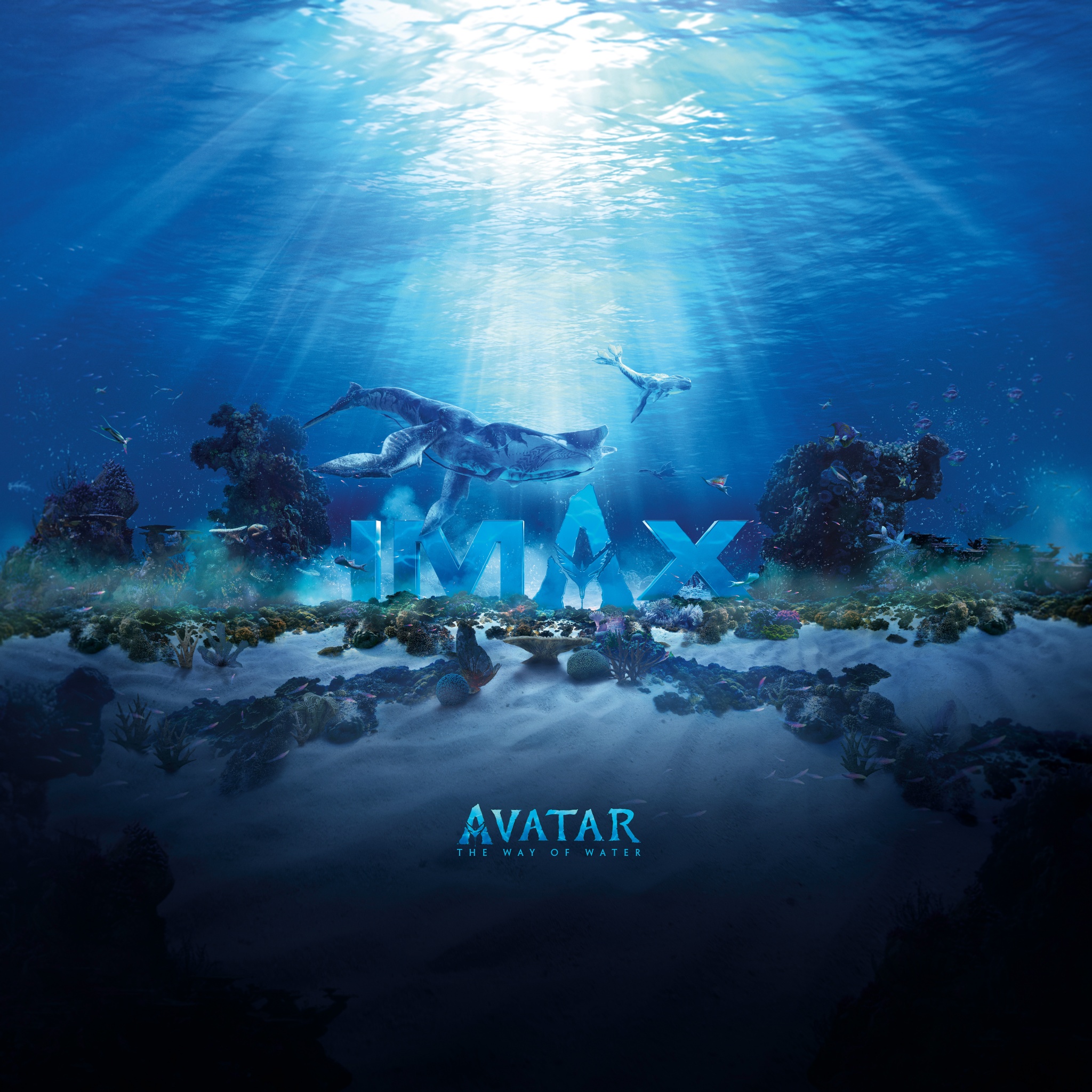 Avatar: The Way of Water Wallpaper 4K, IMAX poster, Underwater, Movies,  #9449
