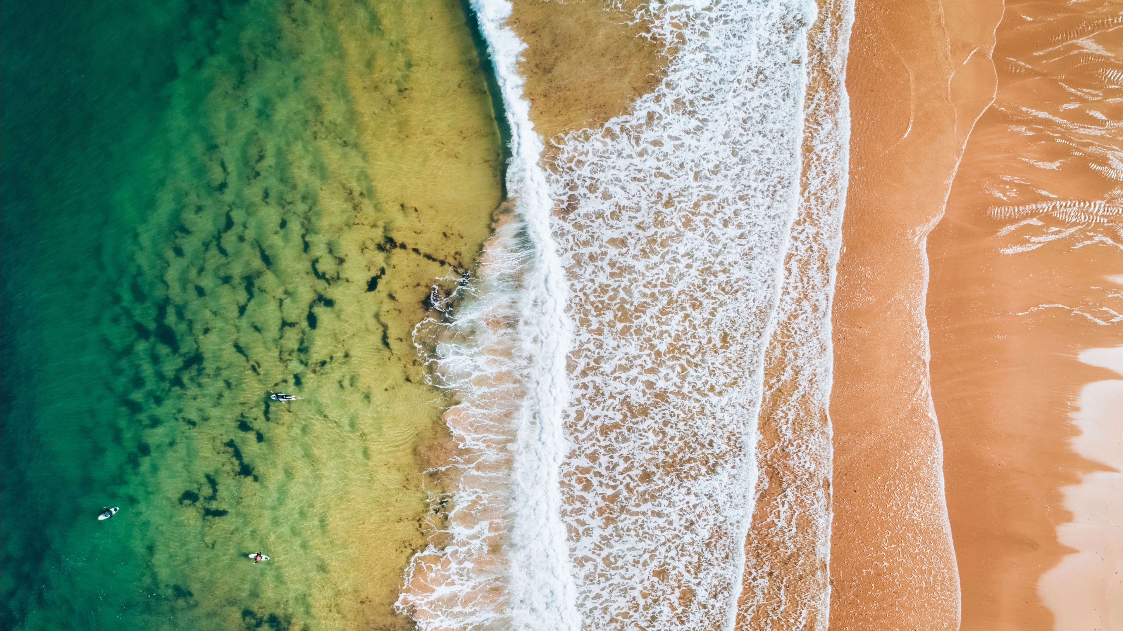 500 Shore Pictures  Download Free Images on Unsplash