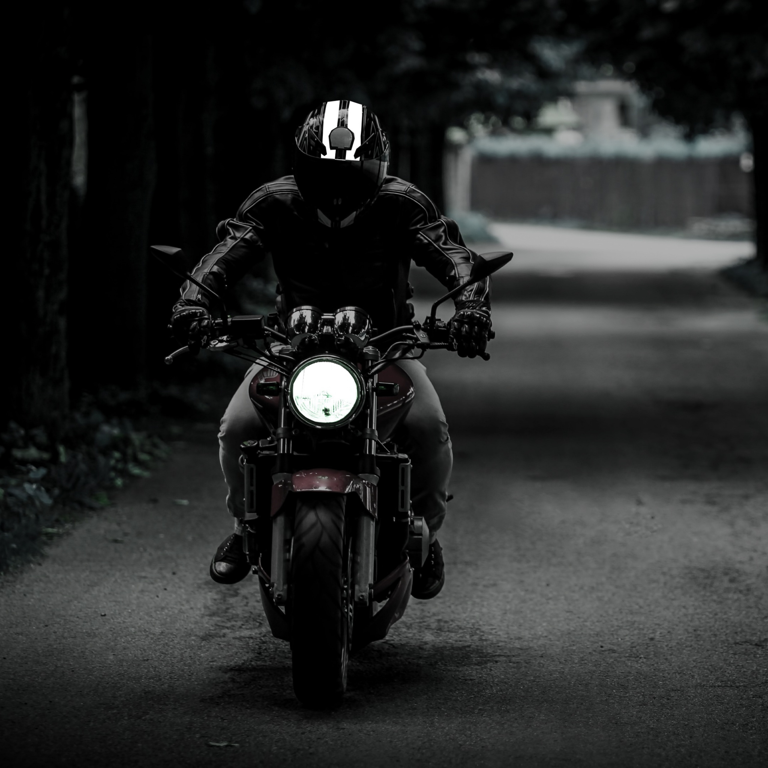 Download Bike Rider On A Black Motorcycle Wallpaper  Wallpaperscom