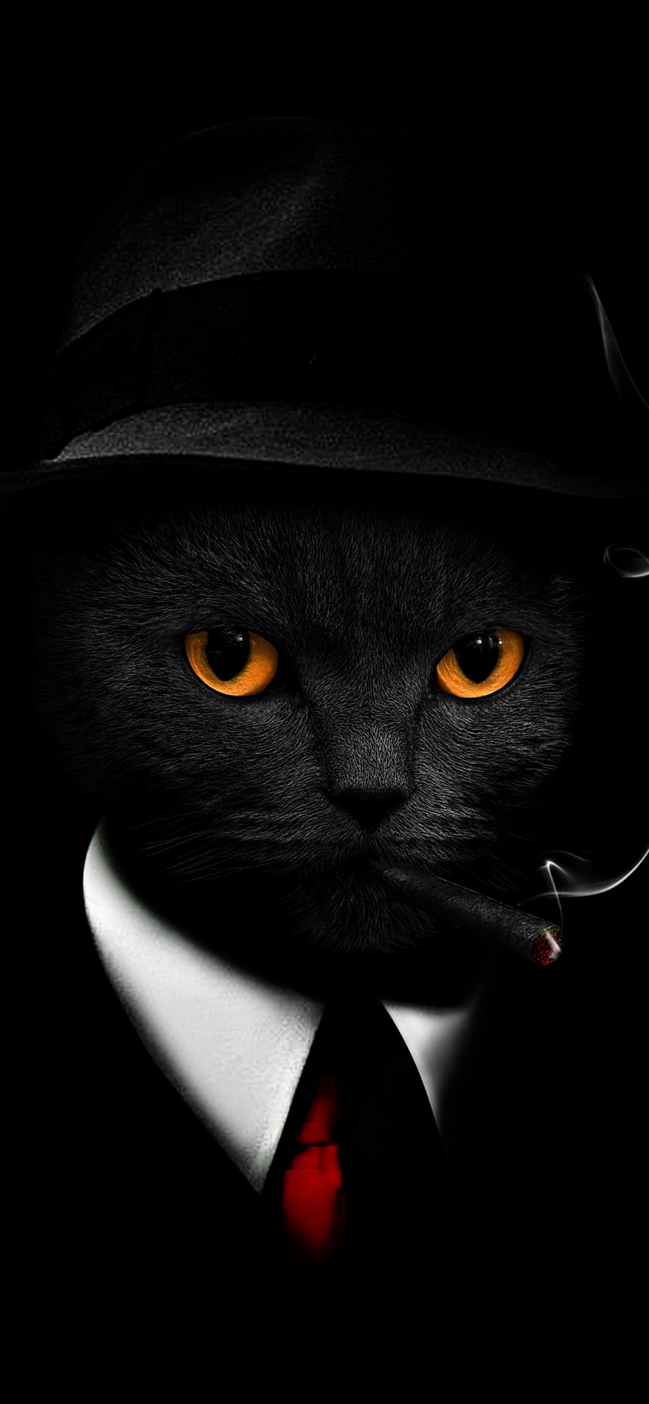 Black Cat Eyes Wallpapers  Top Free Black Cat Eyes Backgrounds   WallpaperAccess