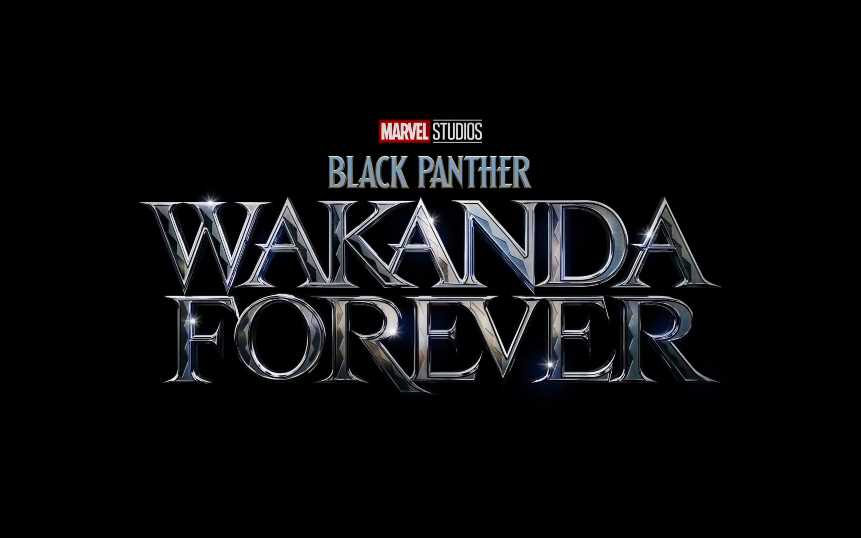 Black Panther: Wakanda Forever Wallpaper 4K, 2022 Movies, Movies, #5596