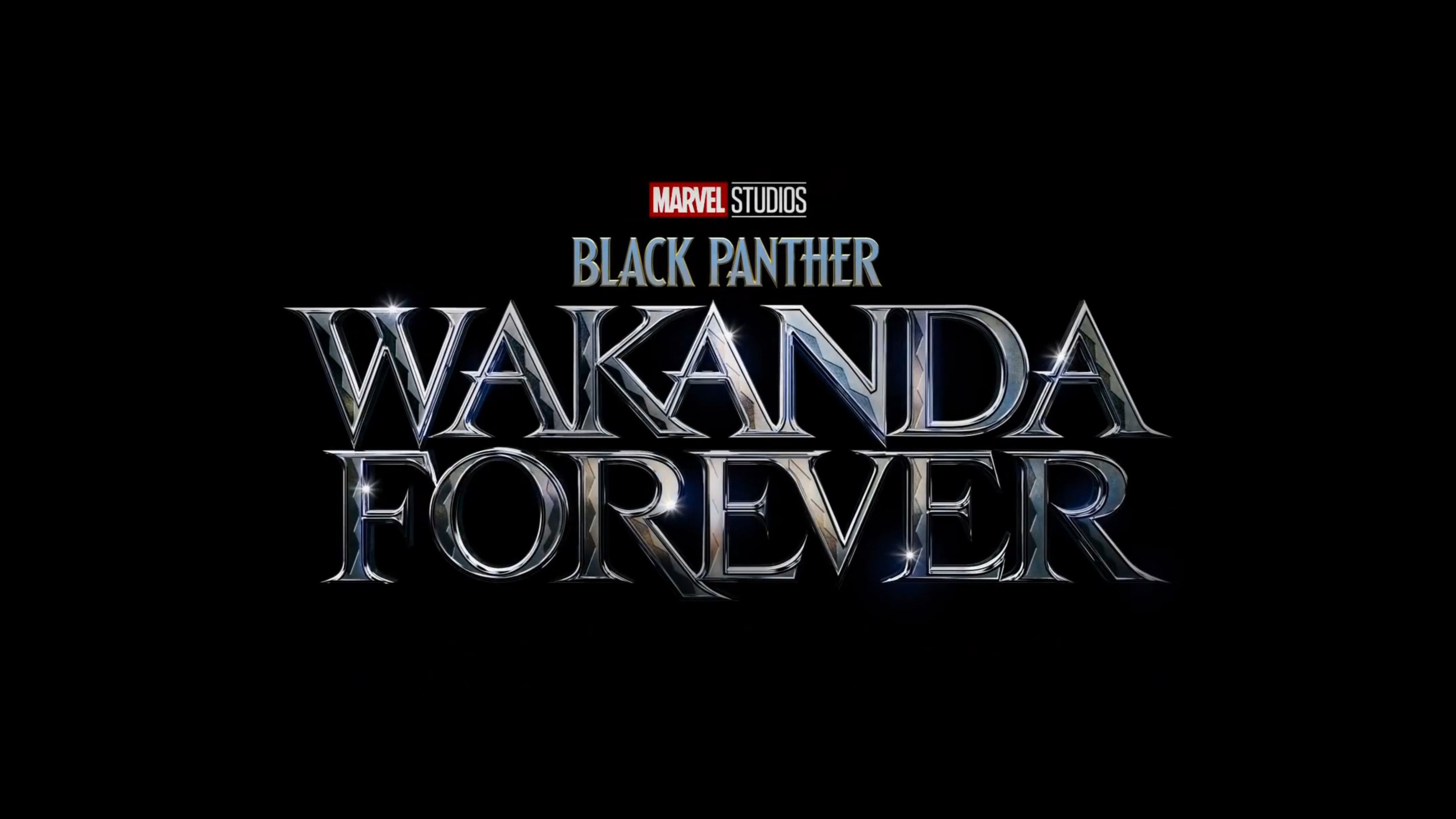 Black Panther: Wakanda Forever Wallpaper 4K, 2022 Movies, Marvel Comics