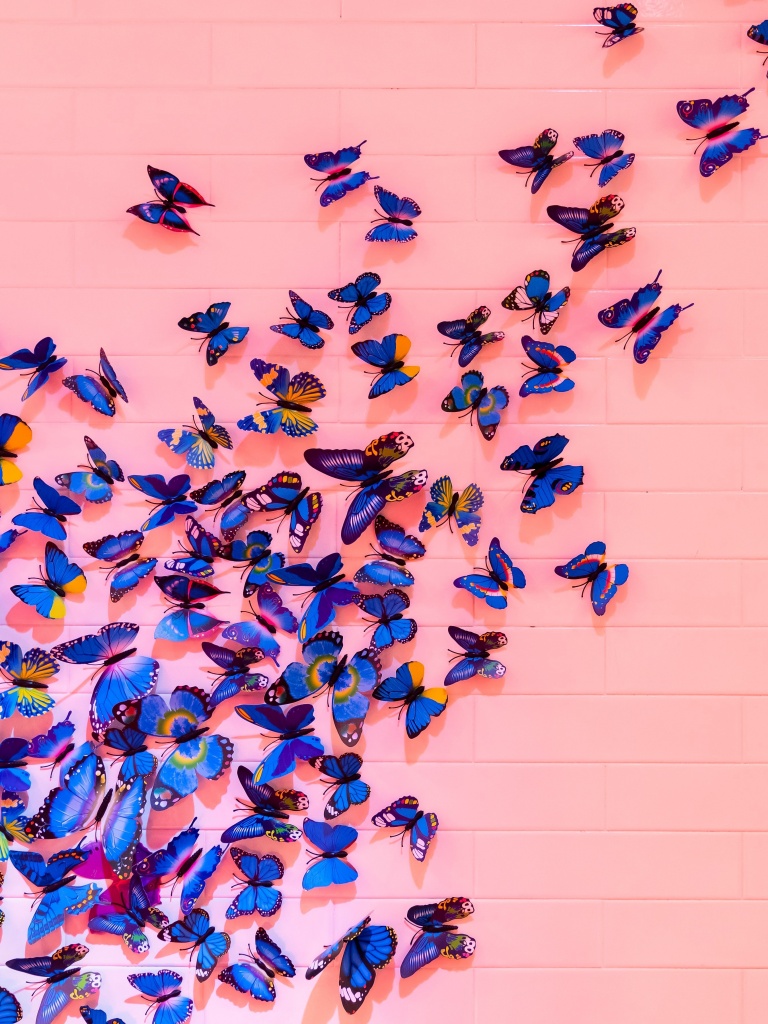 HD wallpaper blue butterflies butterfly colorful drawing art  beautiful  Wallpaper Flare