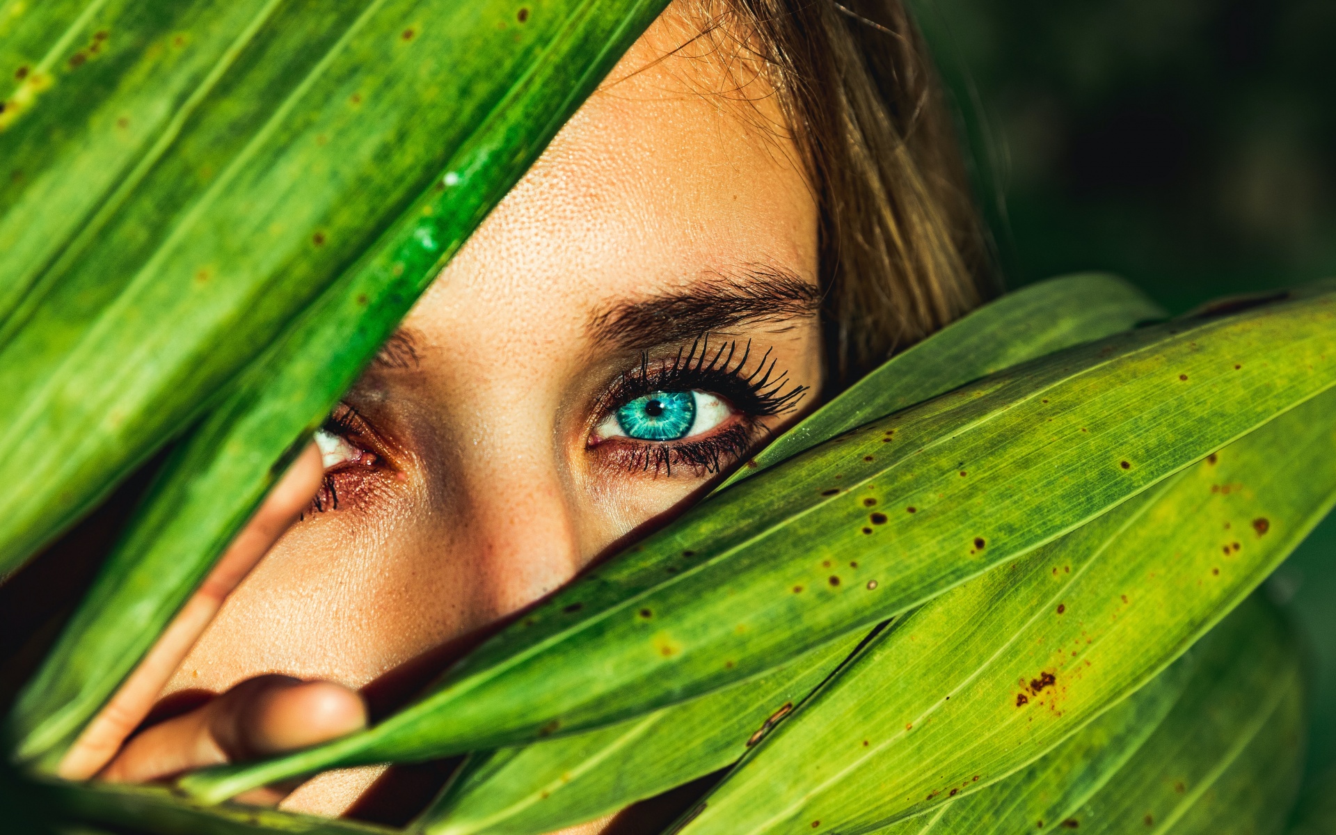Blue eyes Wallpaper 4K, Green leaves, Woman face, Macro