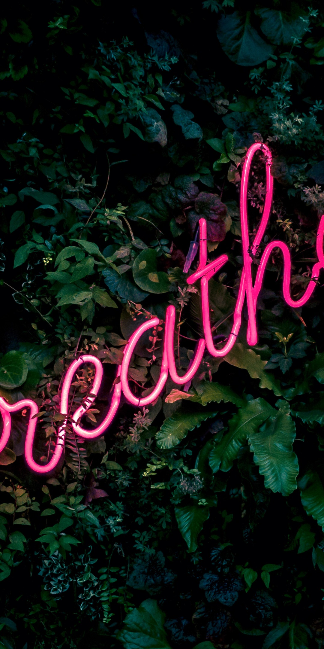 Breathe Wallpaper 4K, Neon sign, Green background, Green leaves, Pink