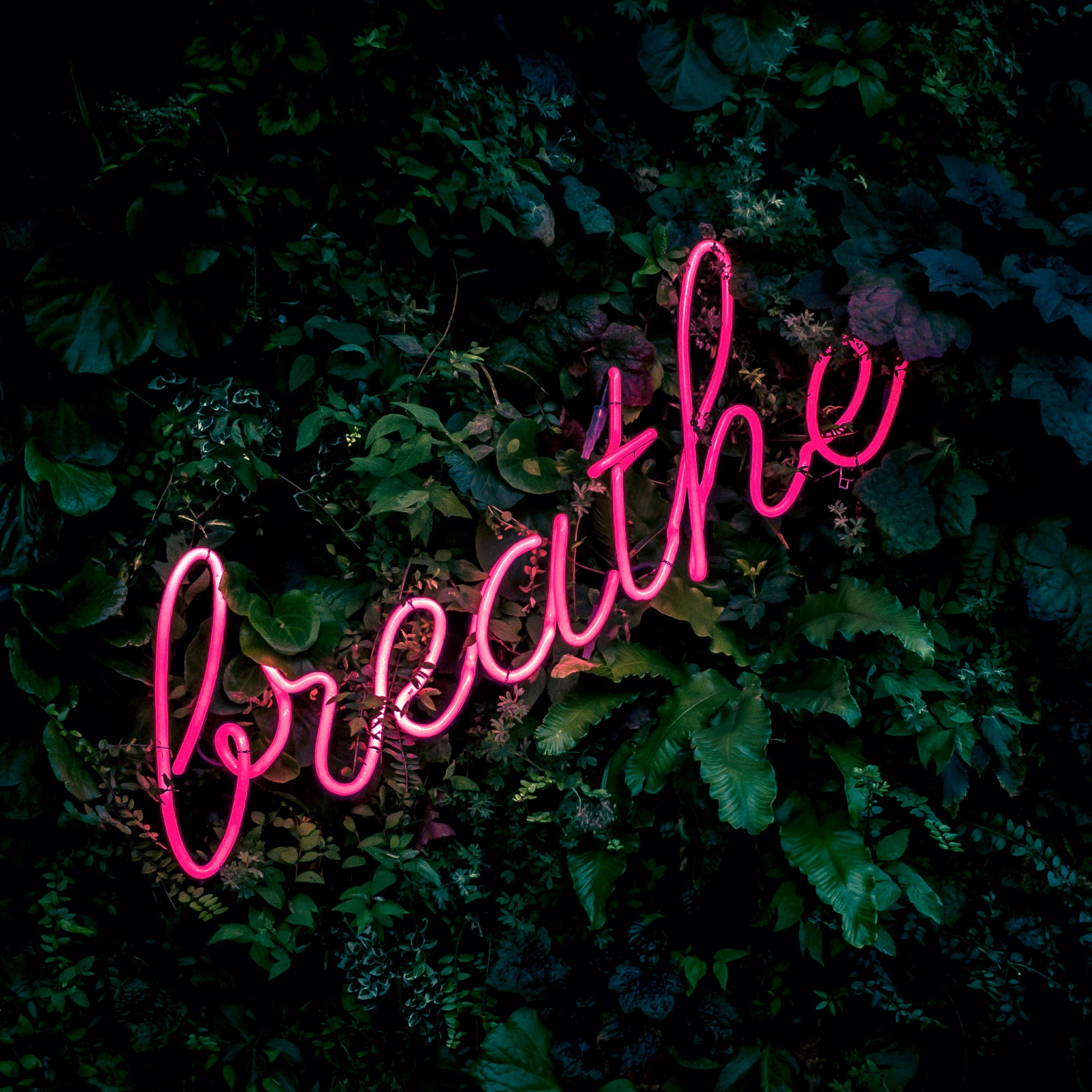 Breathe Wallpaper 4K, Neon sign, Quotes, #5000