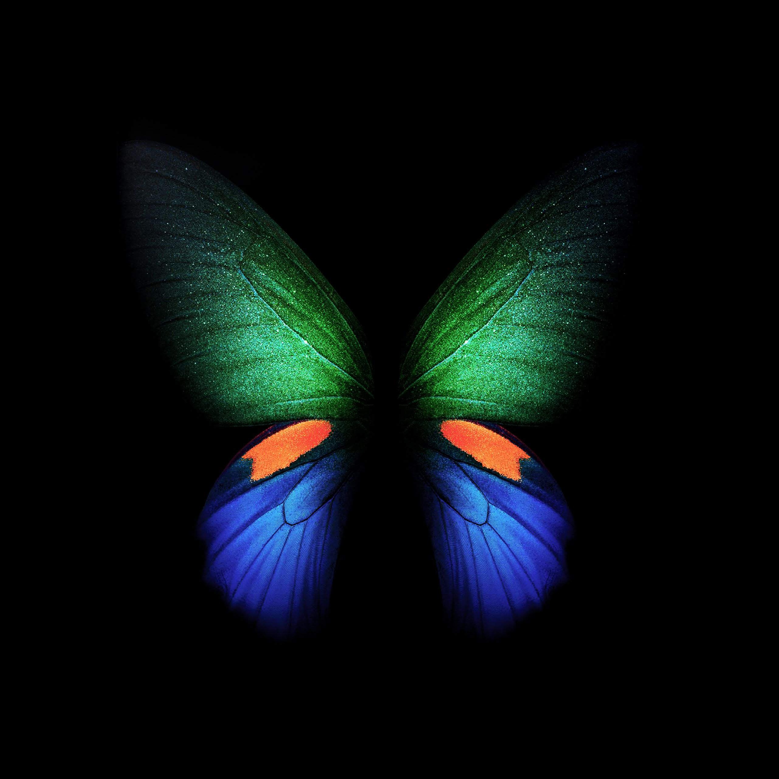 Butterfly Wallpaper 4K, Samsung Galaxy Fold, Black/Dark, #1401