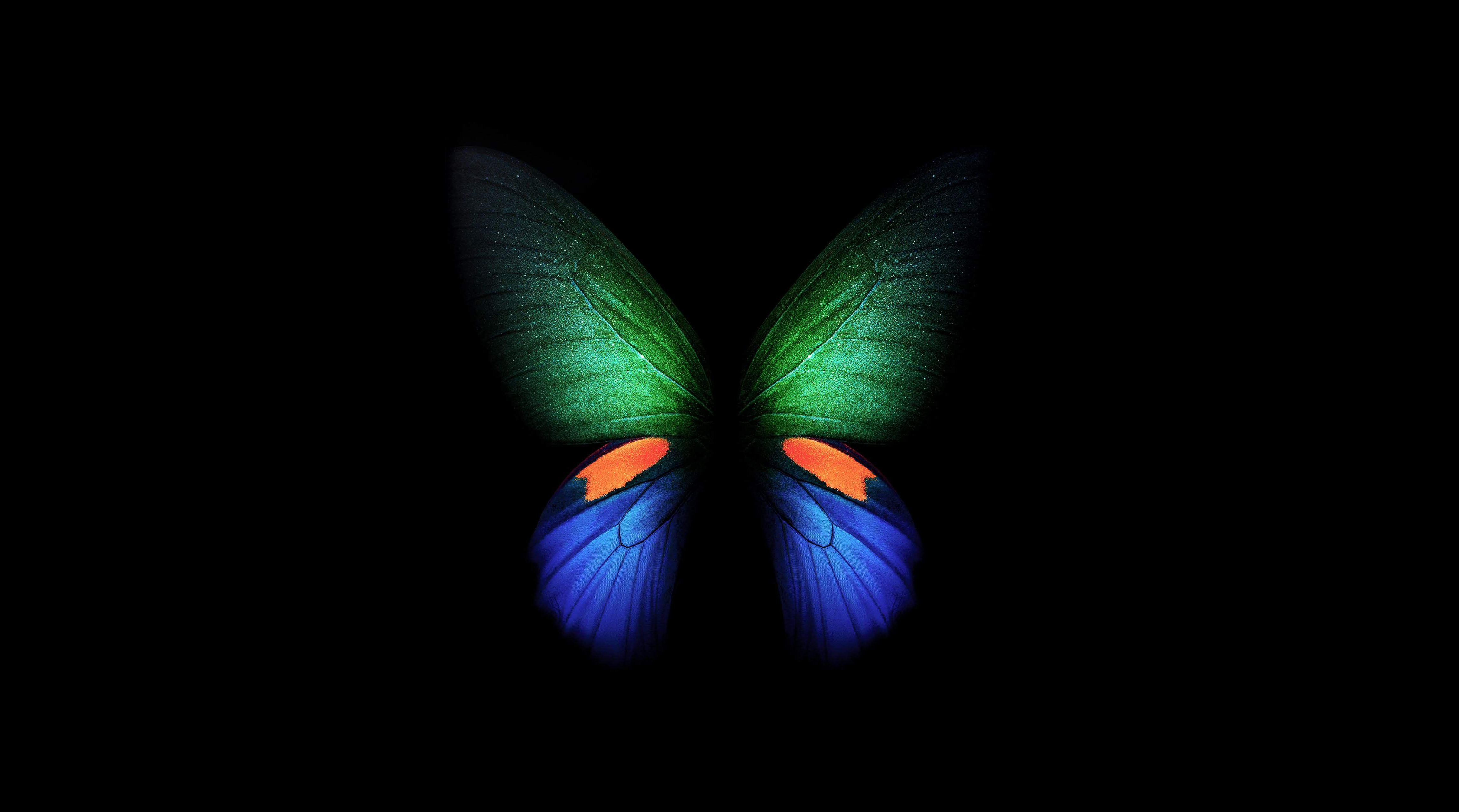 Butterfly Wallpaper 4K, Samsung Galaxy Fold, Black/Dark, #1401
