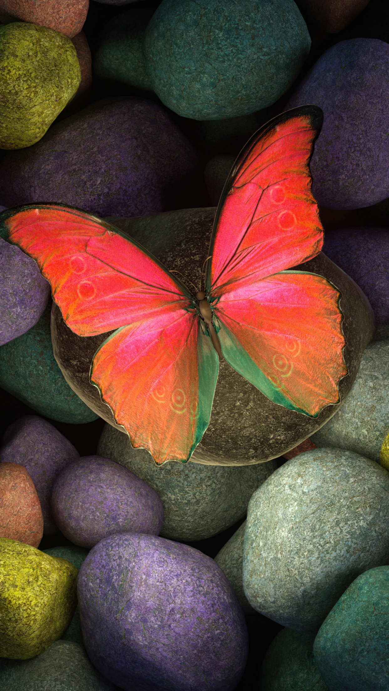 Butterfly 4K Wallpaper, Stones, Colorful, Focus, Pebbles, Photography