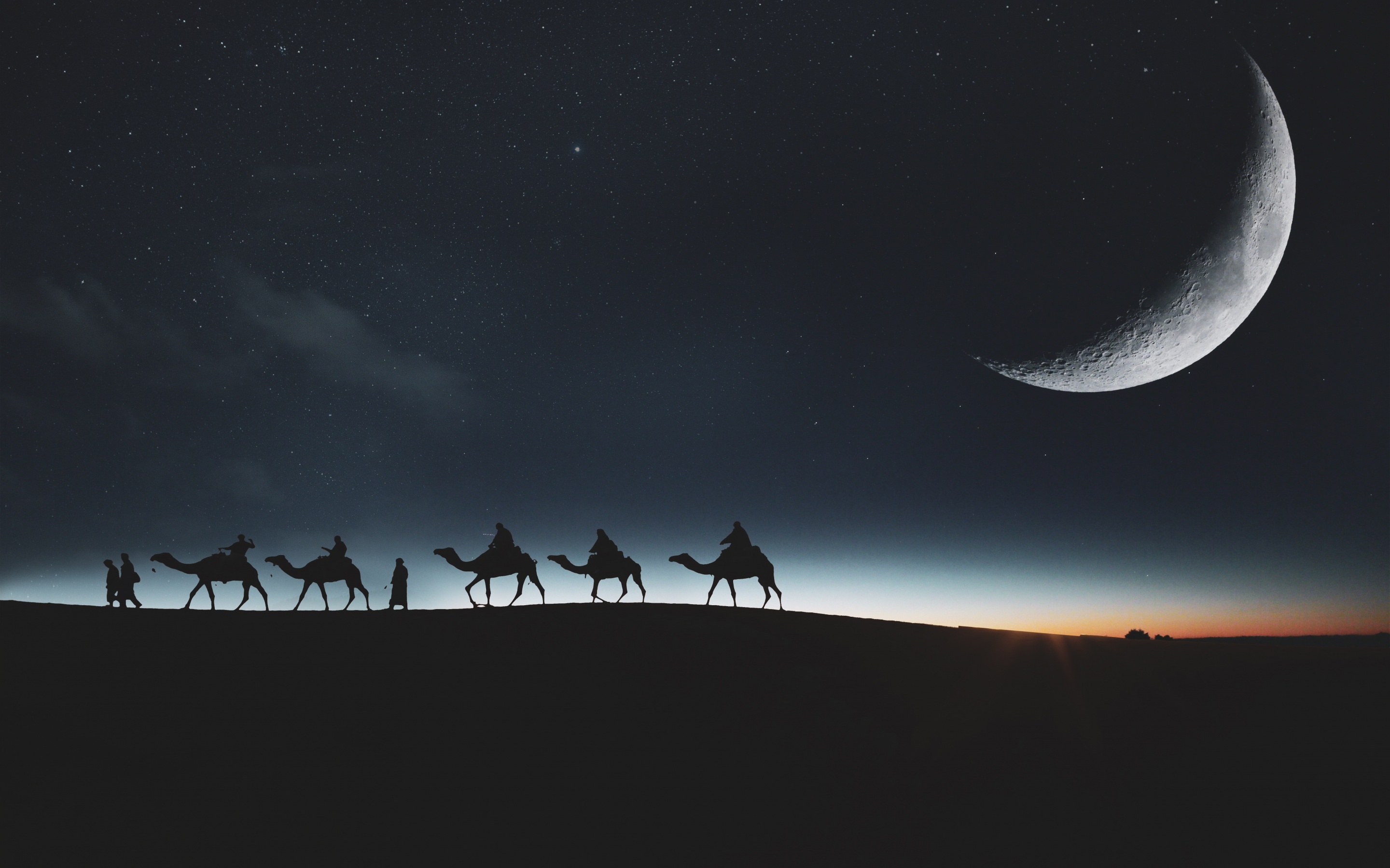 Camels Wallpaper 4K, Silhouette, Moon, Dark background, Night sky