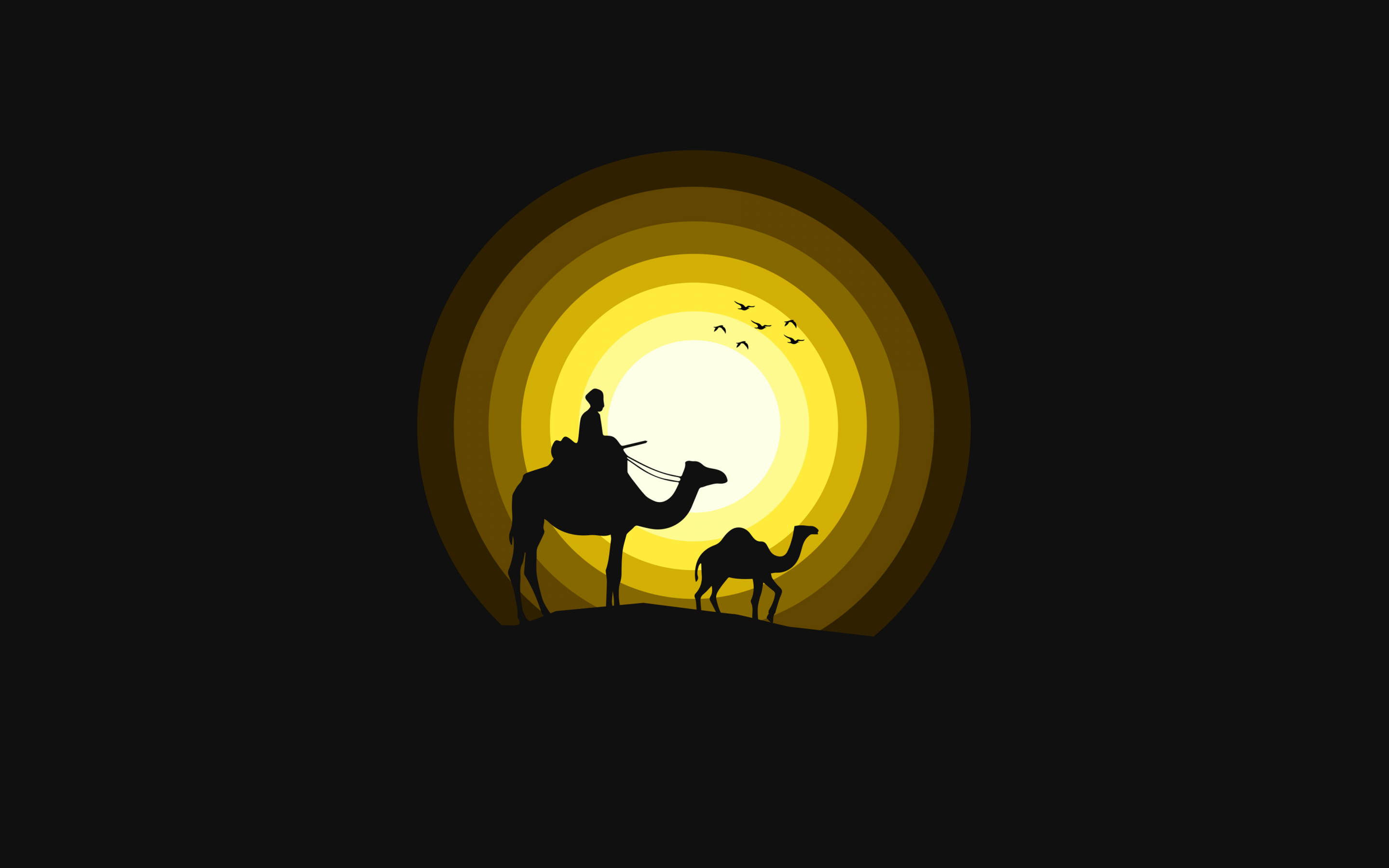 Hình nền độc quyền với hình ảnh lạ mắt về những chú lạc đà: Camels Wallpaper 4K, Sun, Silhouette, Yellow, Black/Dark, #971: Cảm giác bình yên, sự ấm áp và hơi thở của sa mạc sẽ được khơi gợi mỗi khi sử dụng hình nền này.