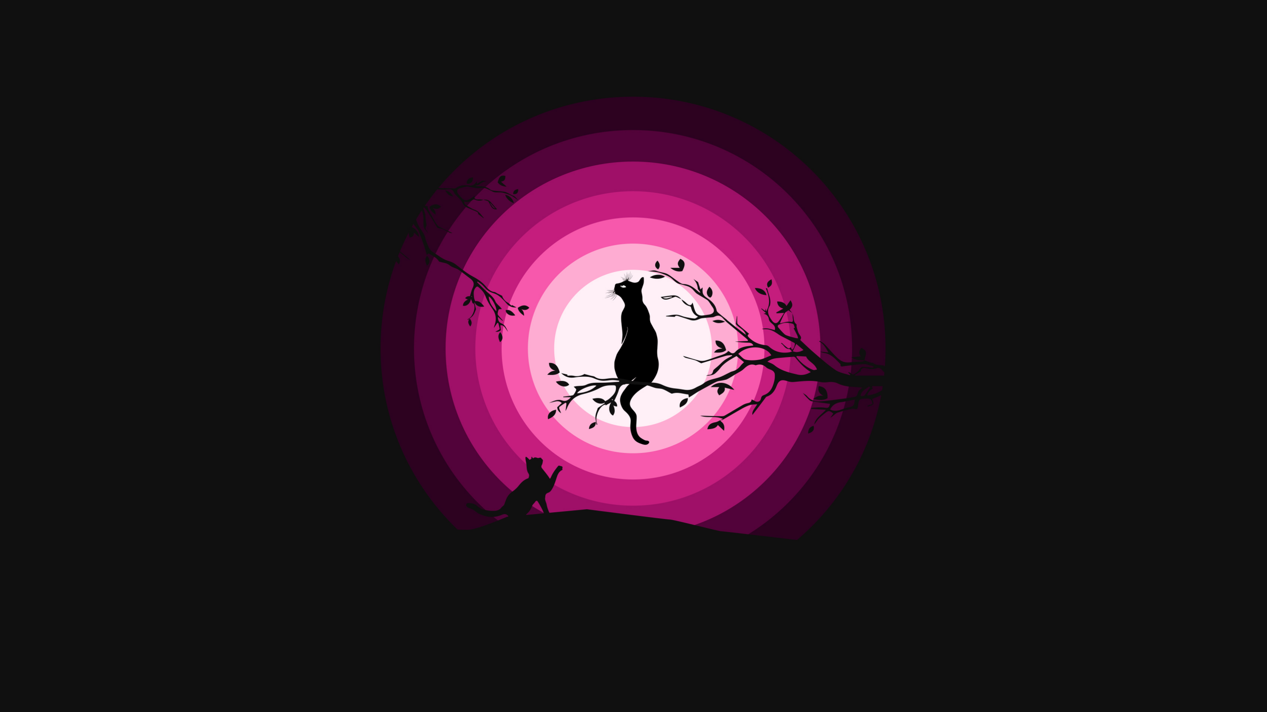 Hình nền mèo đen đỉnh với ánh trăng màu hồng sẽ làm cho màn hình của bạn tươi sáng và đầy sức sống. Hãy thưởng thức bức tranh đẹp này và cảm nhận tình yêu với thú cưng của bạn.