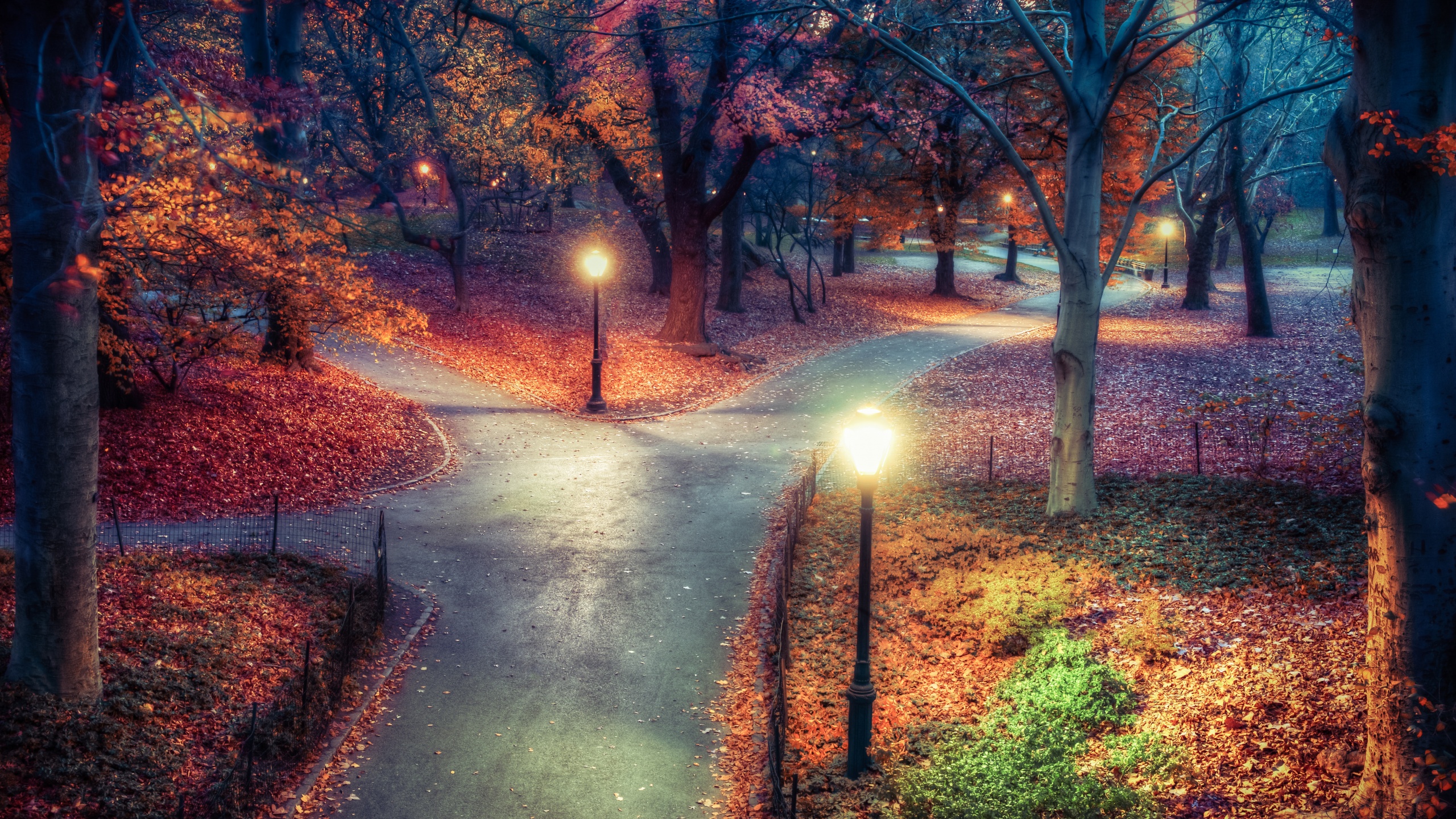 Central Park Wallpaper 4K, New York City, Autumn leaves, Path, Night