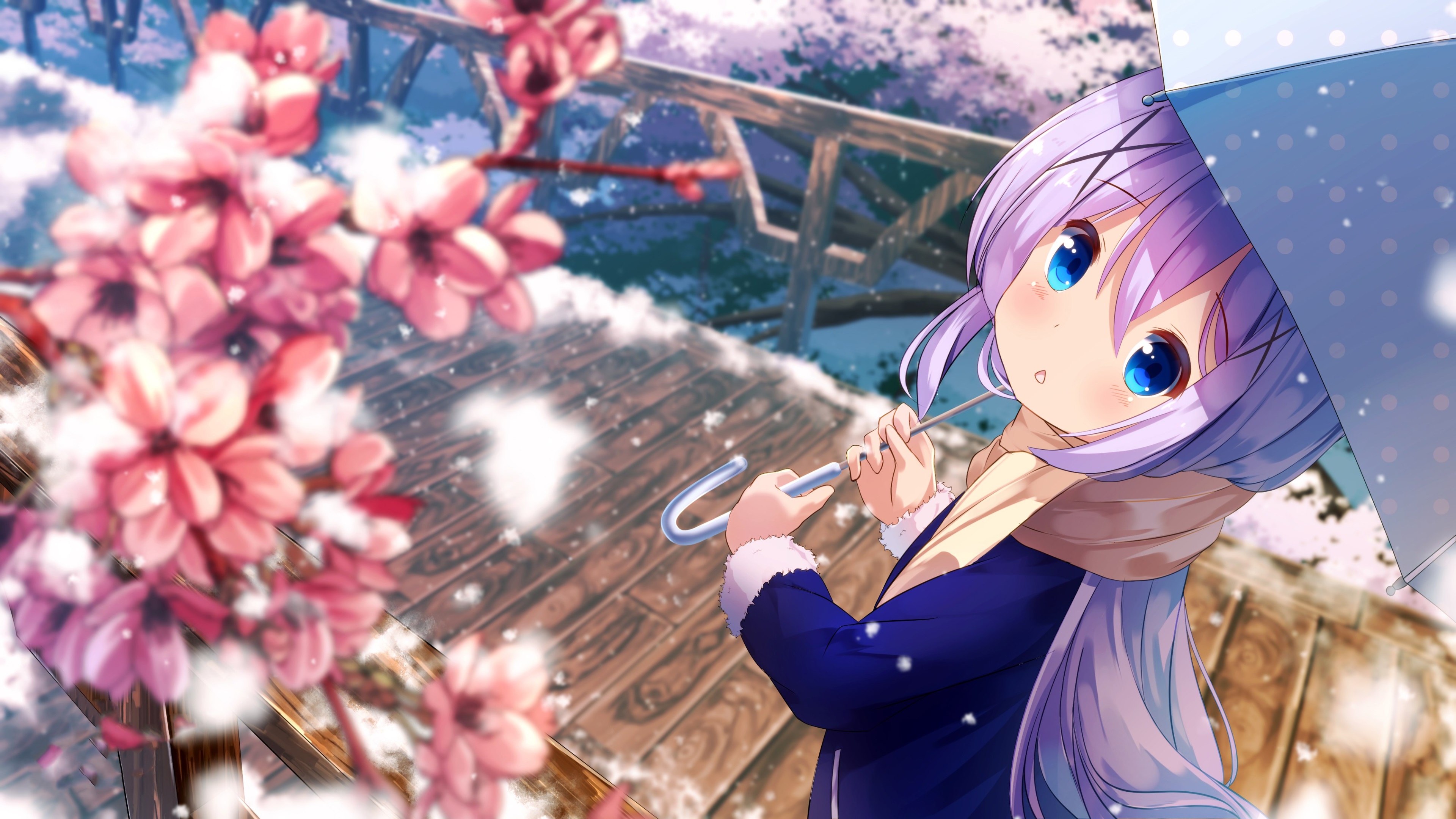 Chino Kafuu Wallpaper 4K, Anime girl, Cute anime, Spring