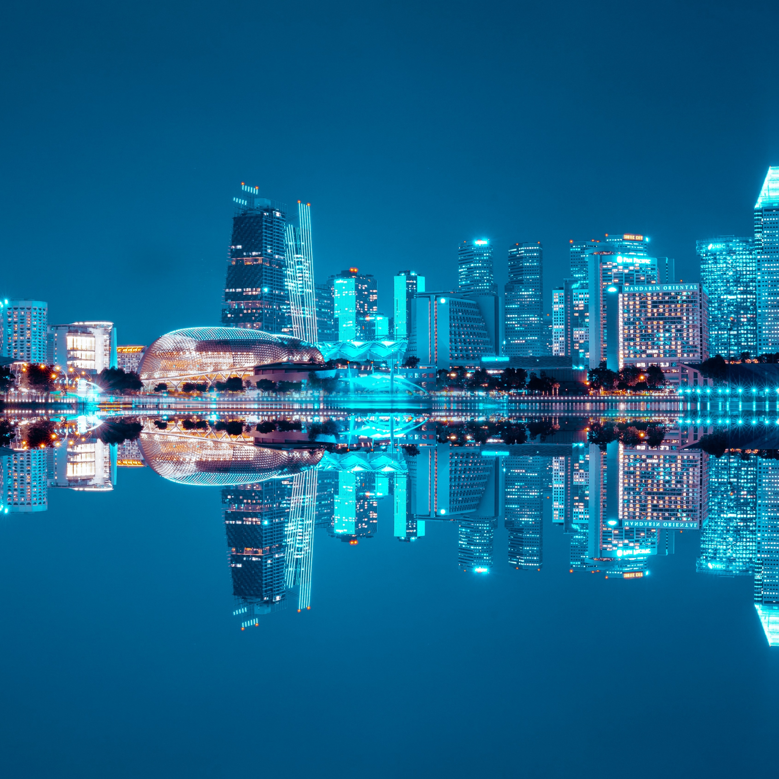 Wall Mural Blue nights Dubai - skyline with skyscrapers and reflection in  water - Other cities - Cities - Wall Murals