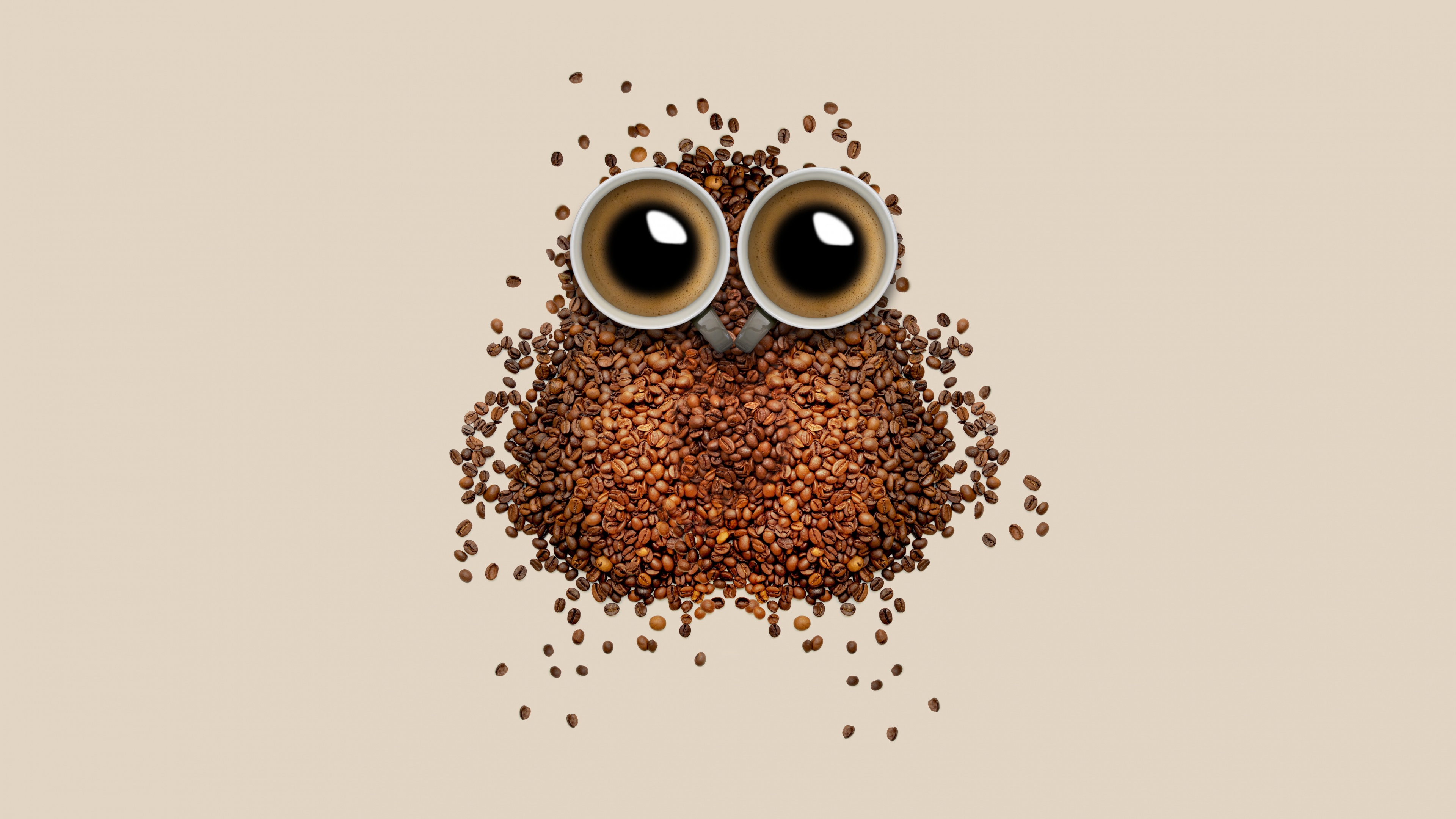 Coffee beans Wallpaper 4K, Owl, Coffee cup, Food, #3291