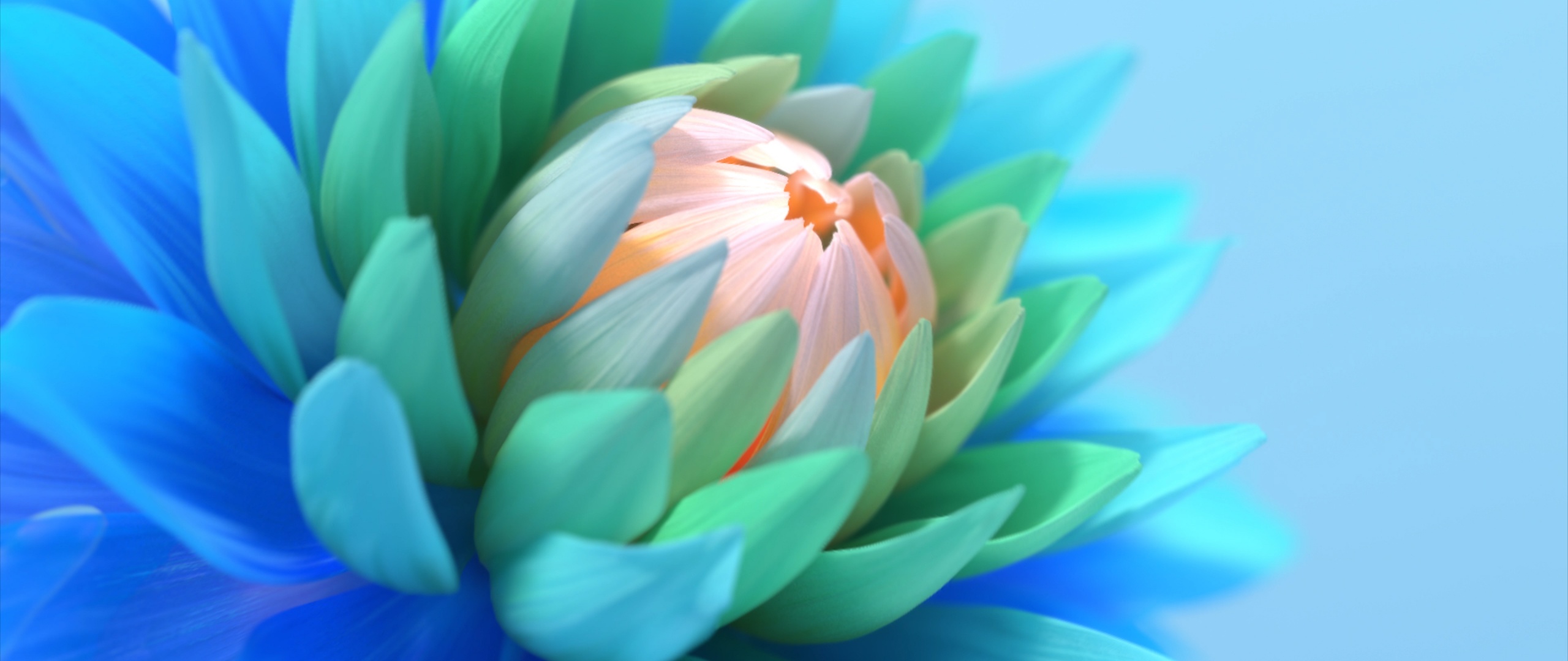 Colorful flower Wallpaper 4K, Blue background, Flowers, #8148