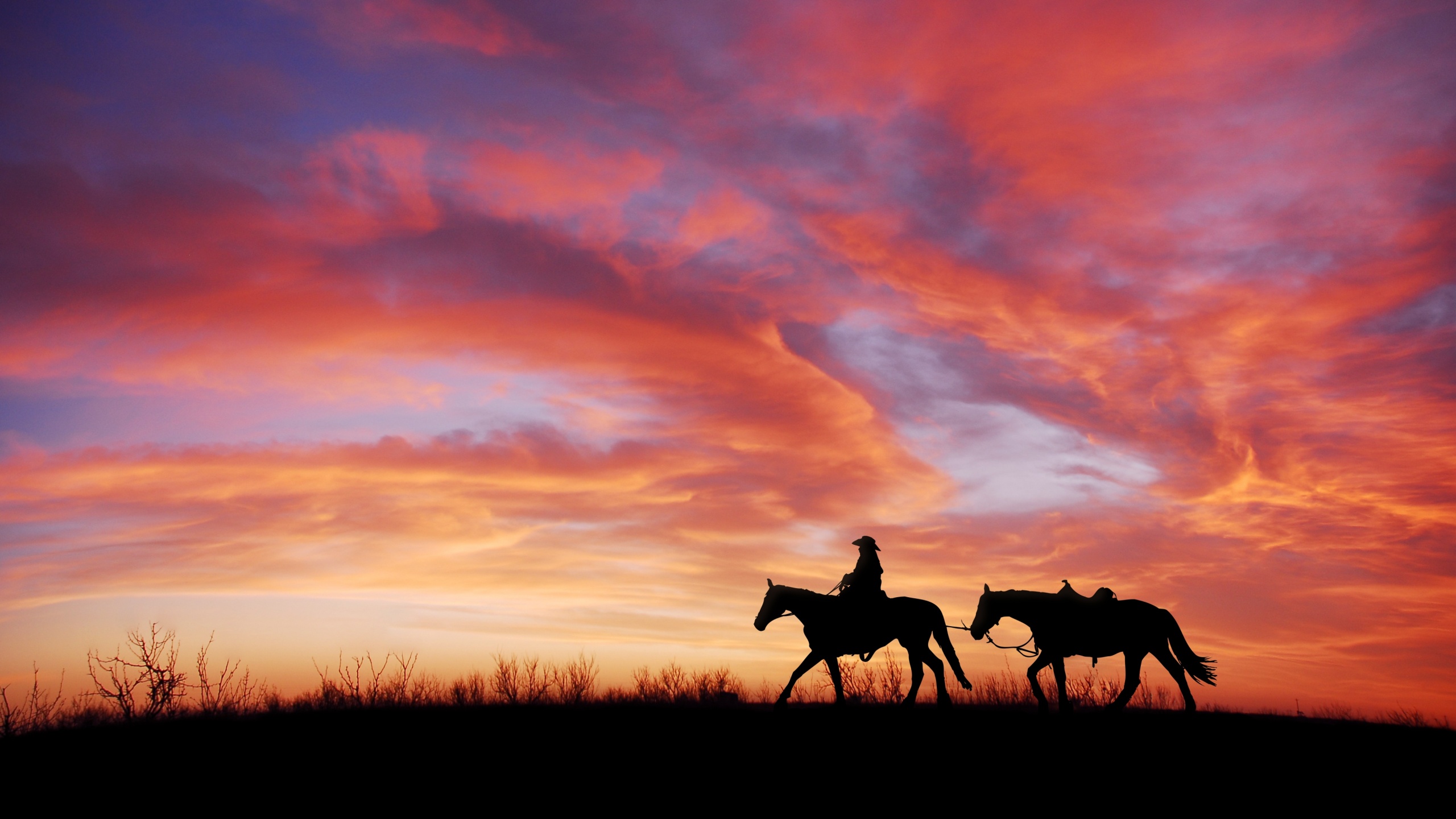 Sunset Horse Silhouette Acrylic Painting Hd Wallpaper : Wallpapers13.com