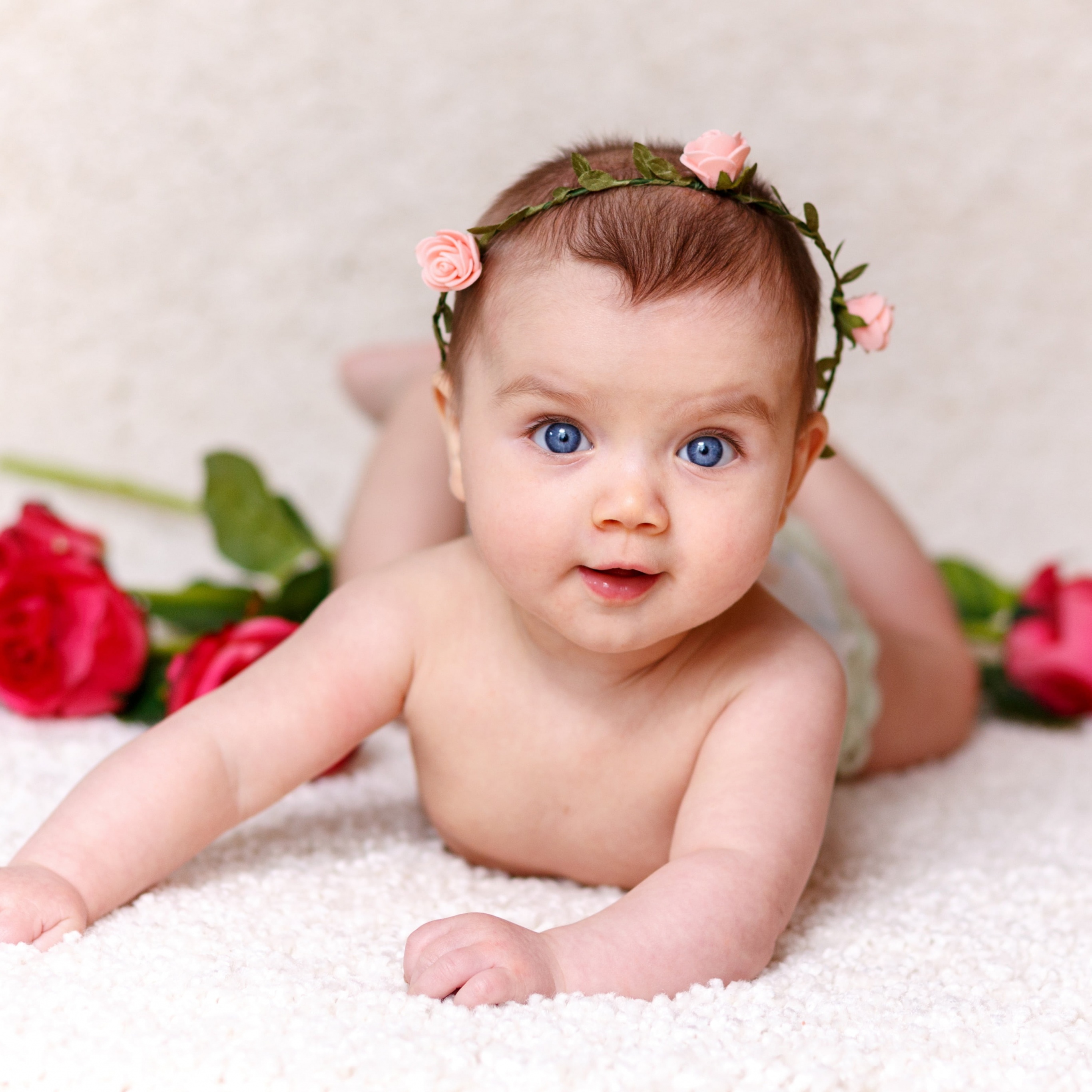 Cute Baby Wallpaper 4K, Rose flowers, Adorable, Cute, #1797