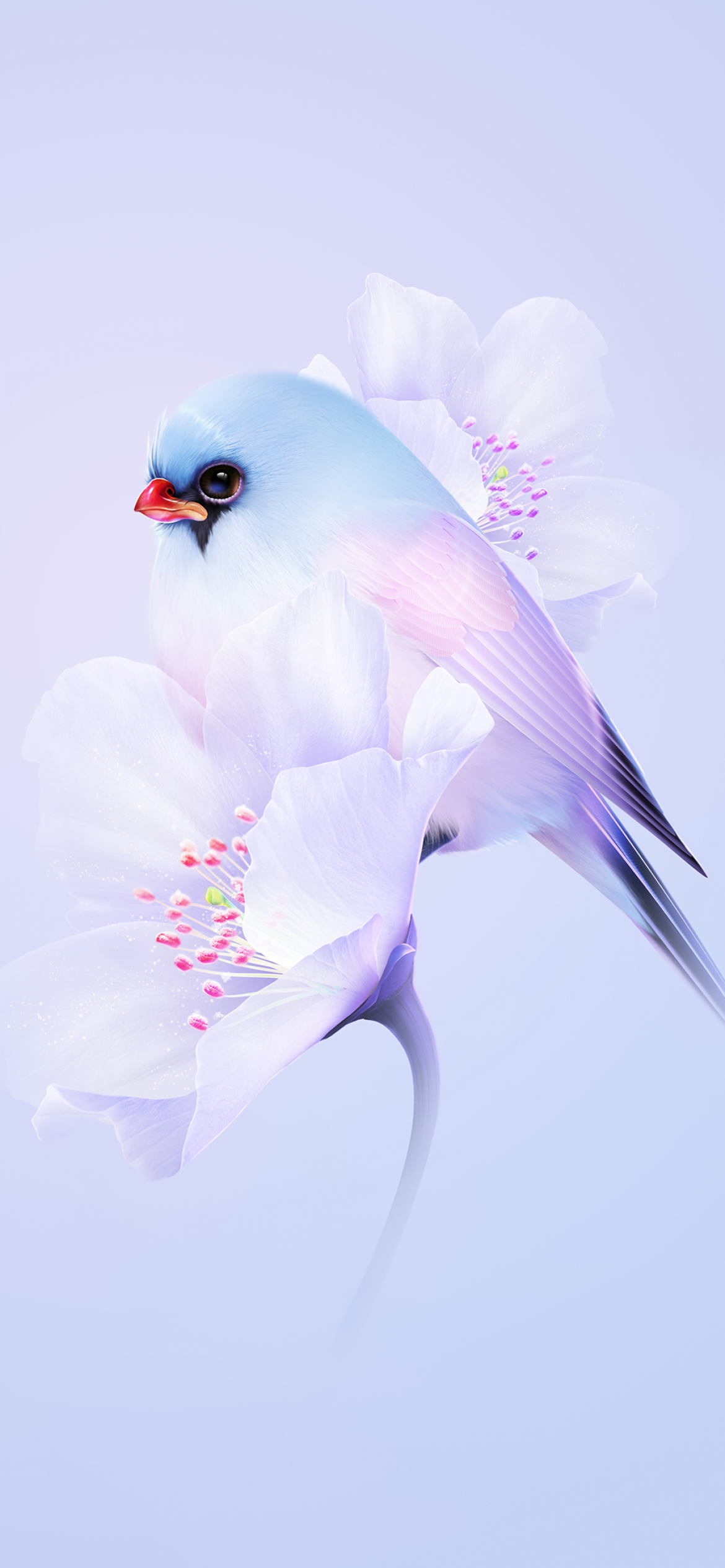 Beauty birds live wallpaper for Android. Beauty birds free download for  tablet and phone.