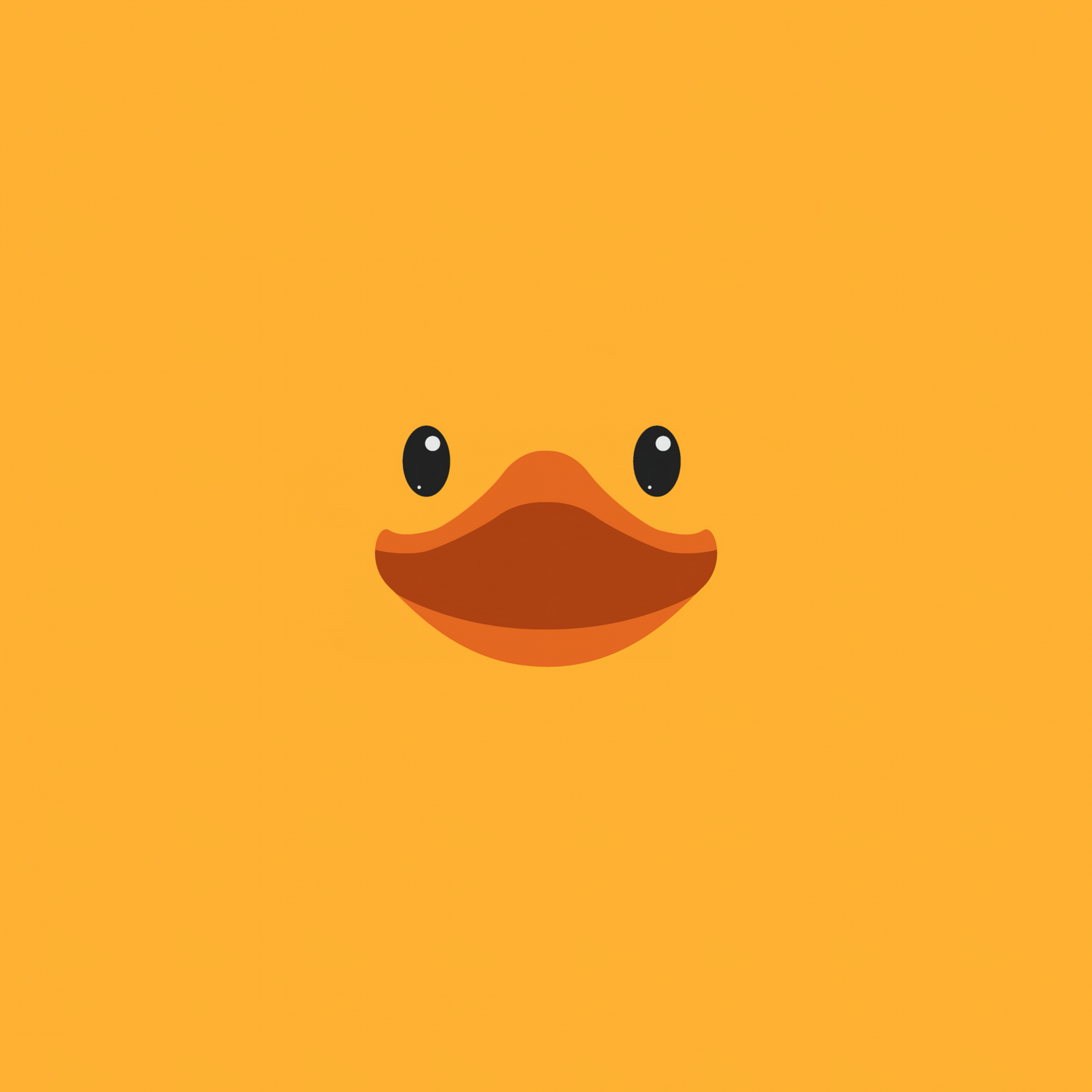 Cute duck Wallpaper 4K Rubber Ducky Day Duck face 10045