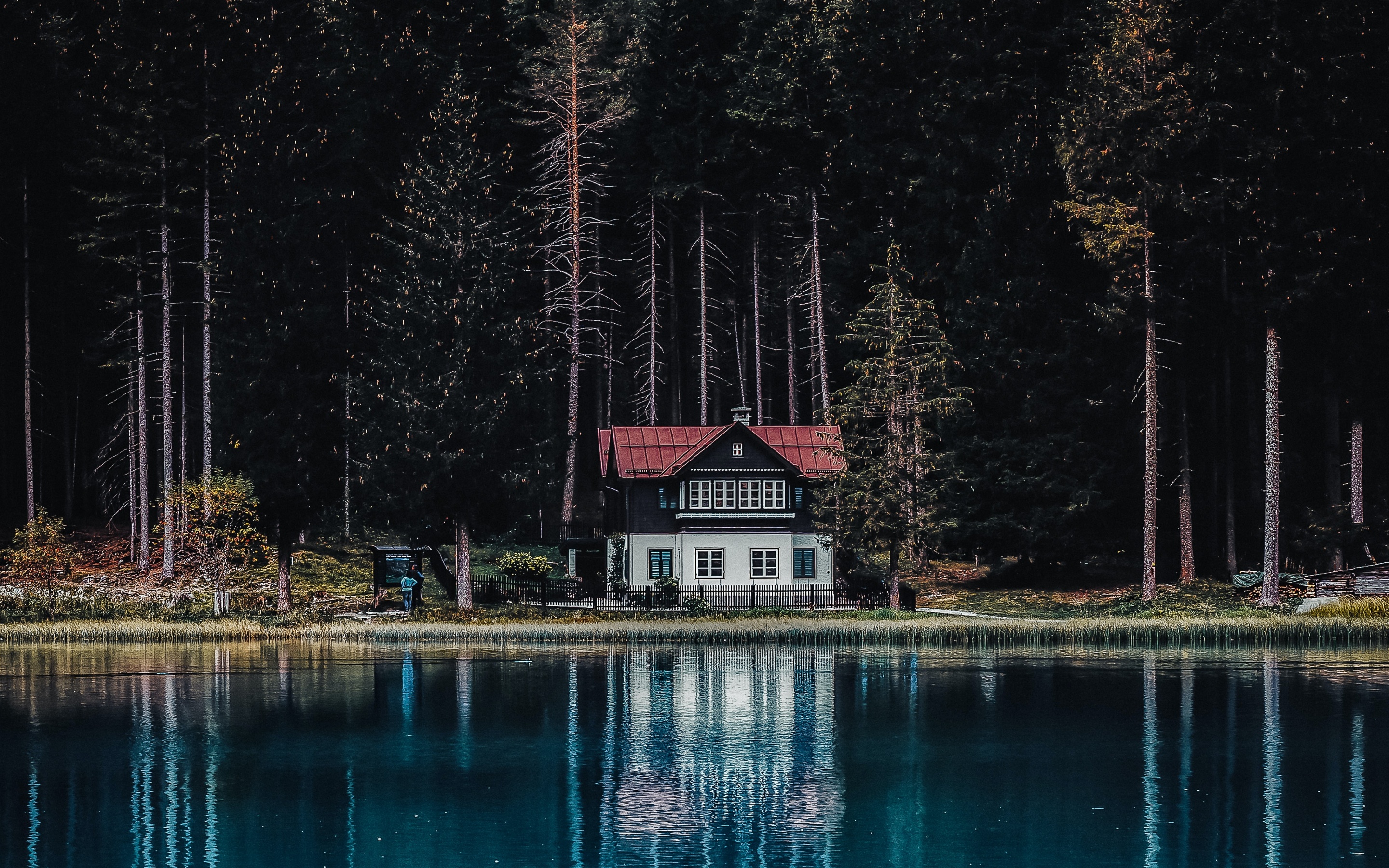 Dark Forest Wallpaper 4k House Tall Trees Woods Lake Body Of Water