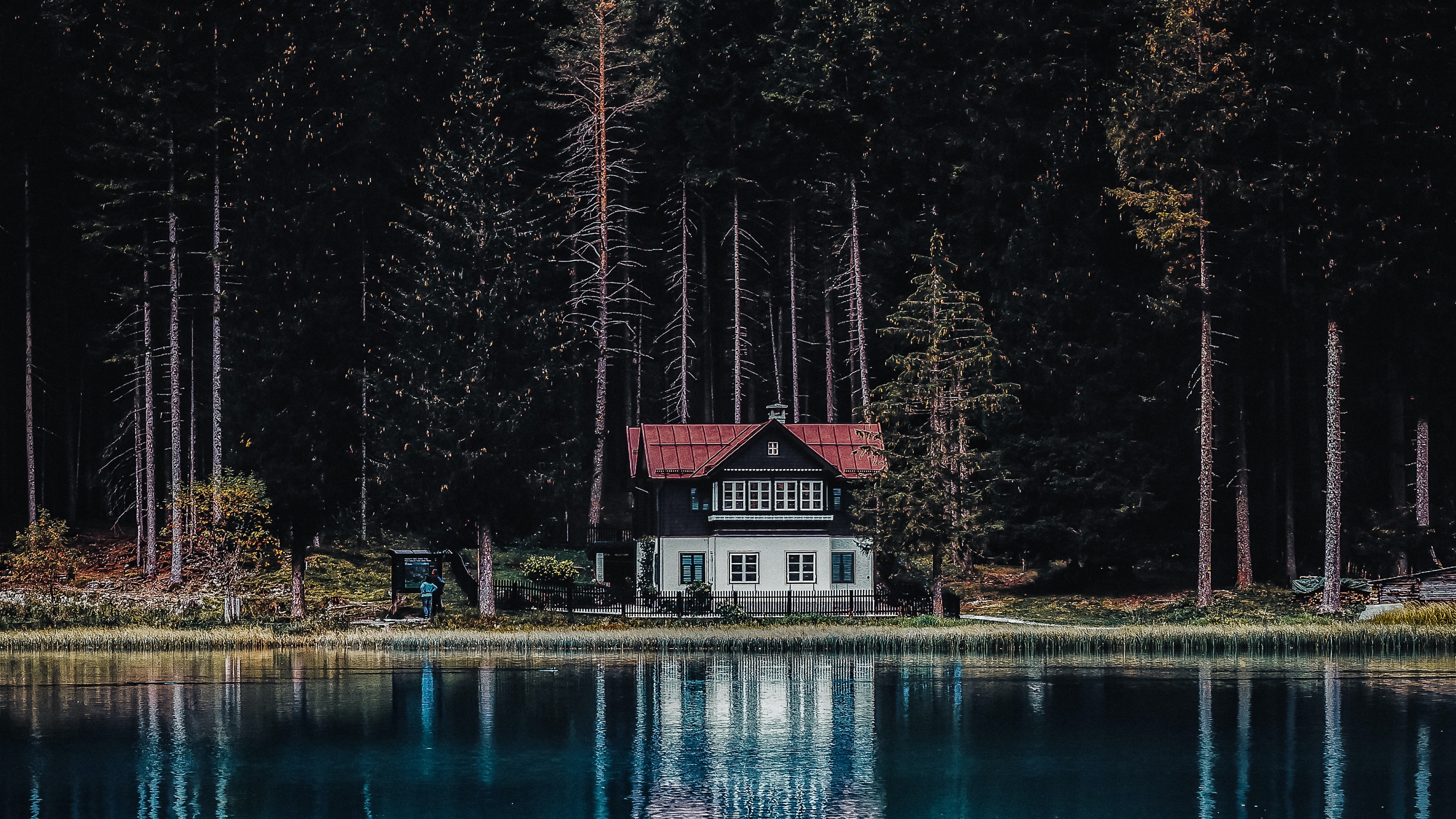 Dark Forest Wallpaper 4K, House, Tall Trees, Nature, #2843