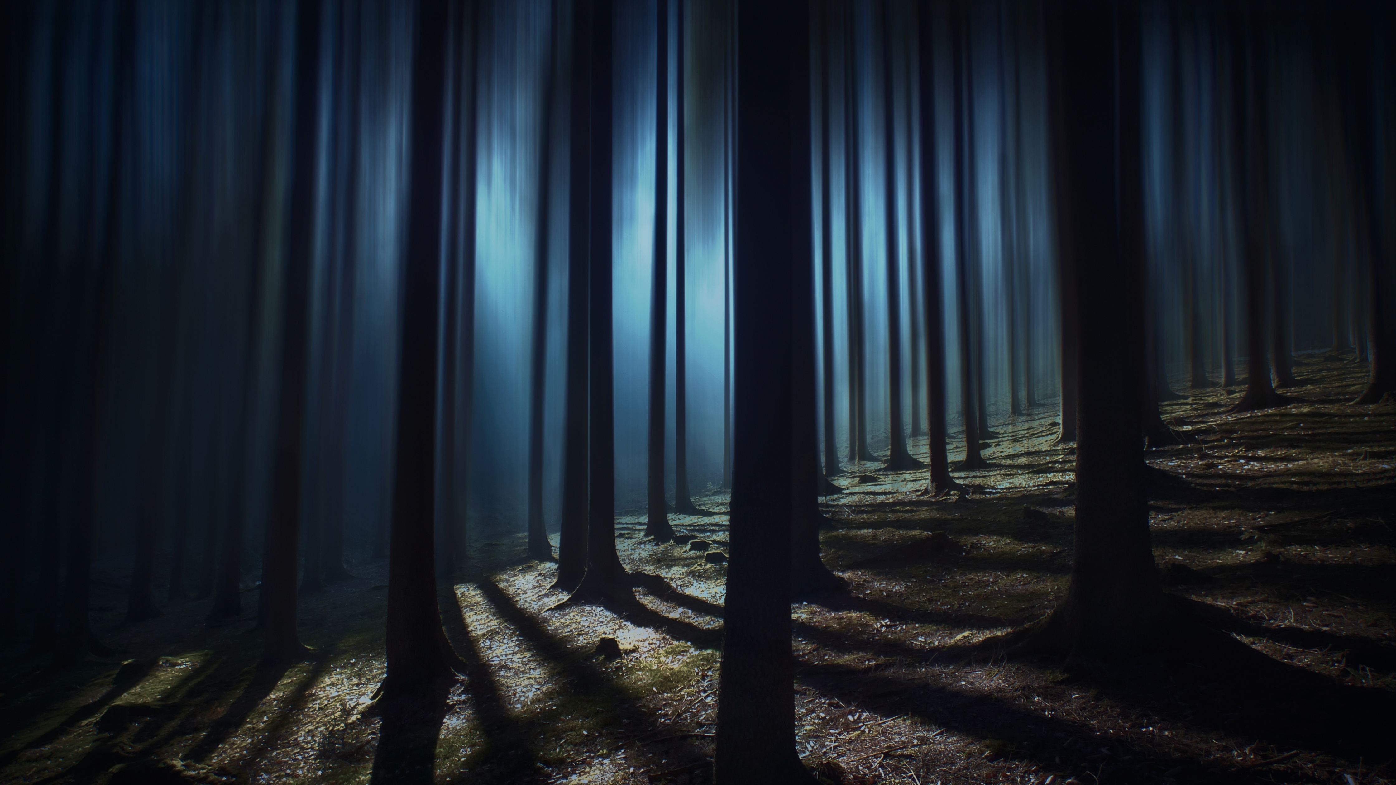 Dark Forest Wallpaper 4K, Woods, Night time, Dark, Shadow, #2508