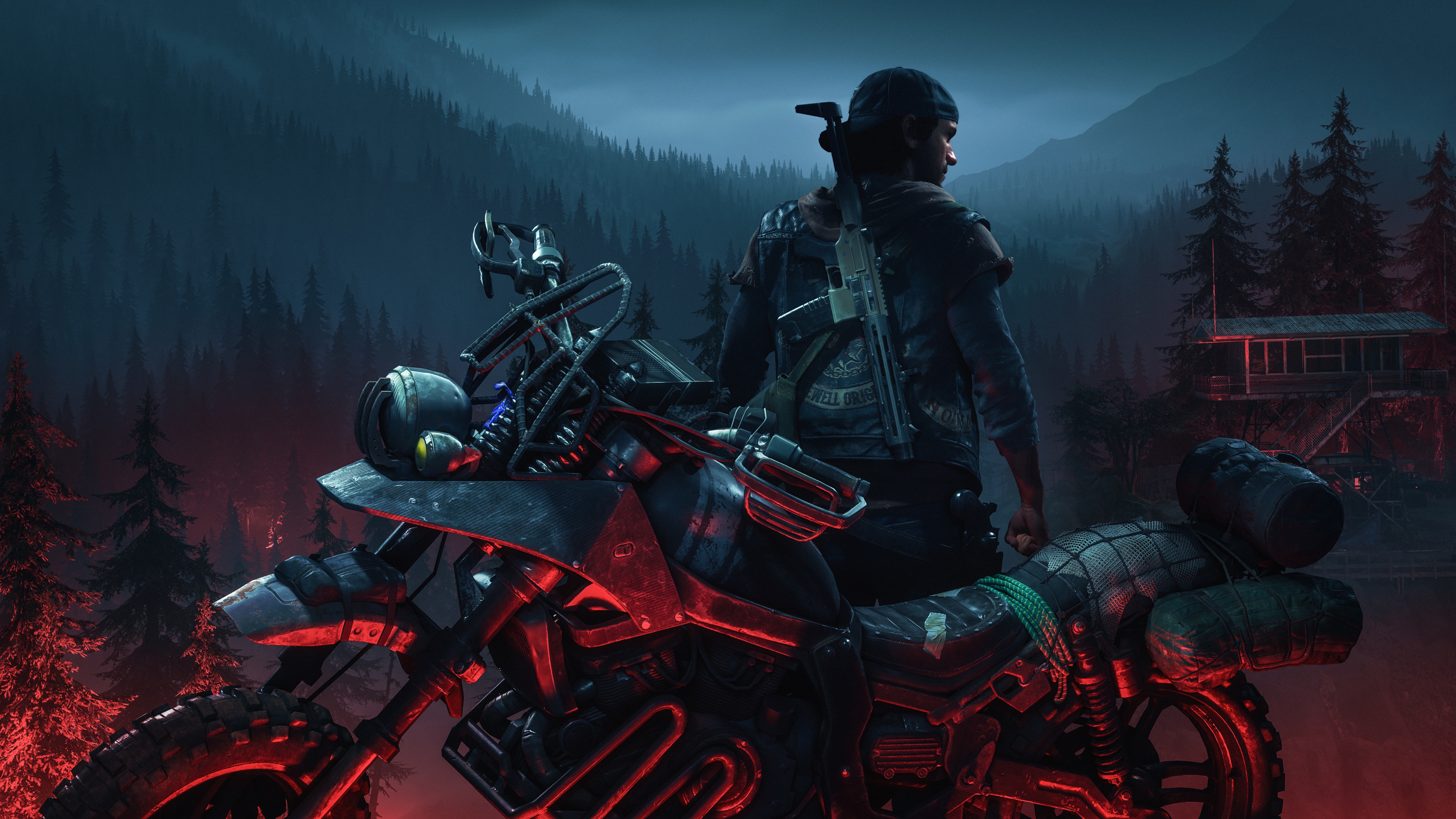 20 4K Days Gone Wallpapers  Background Images