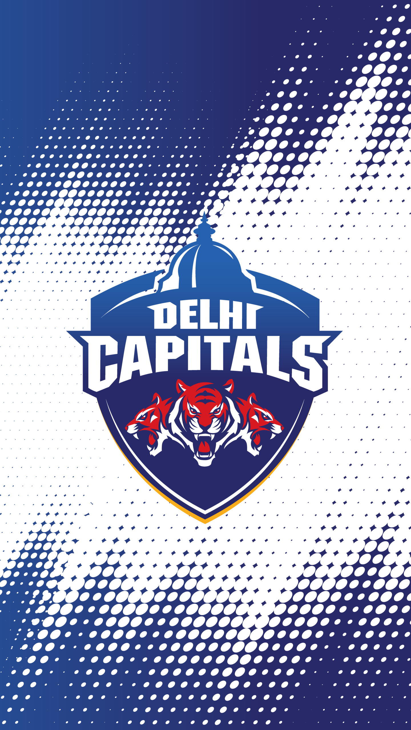Delhi capitals dc delhicapitals ipl HD phone wallpaper  Peakpx