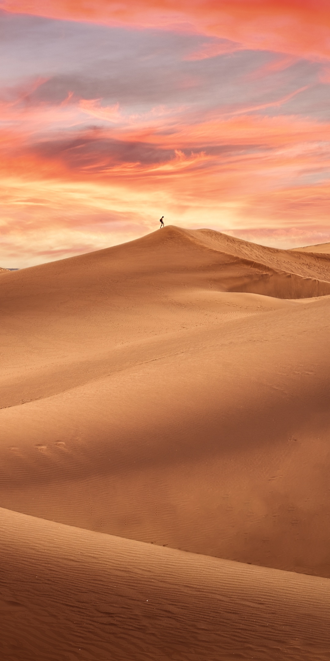 Desert 4K Wallpaper, Sand Dunes, Alone, Sunset, Evening, 5K, Nature, #5417