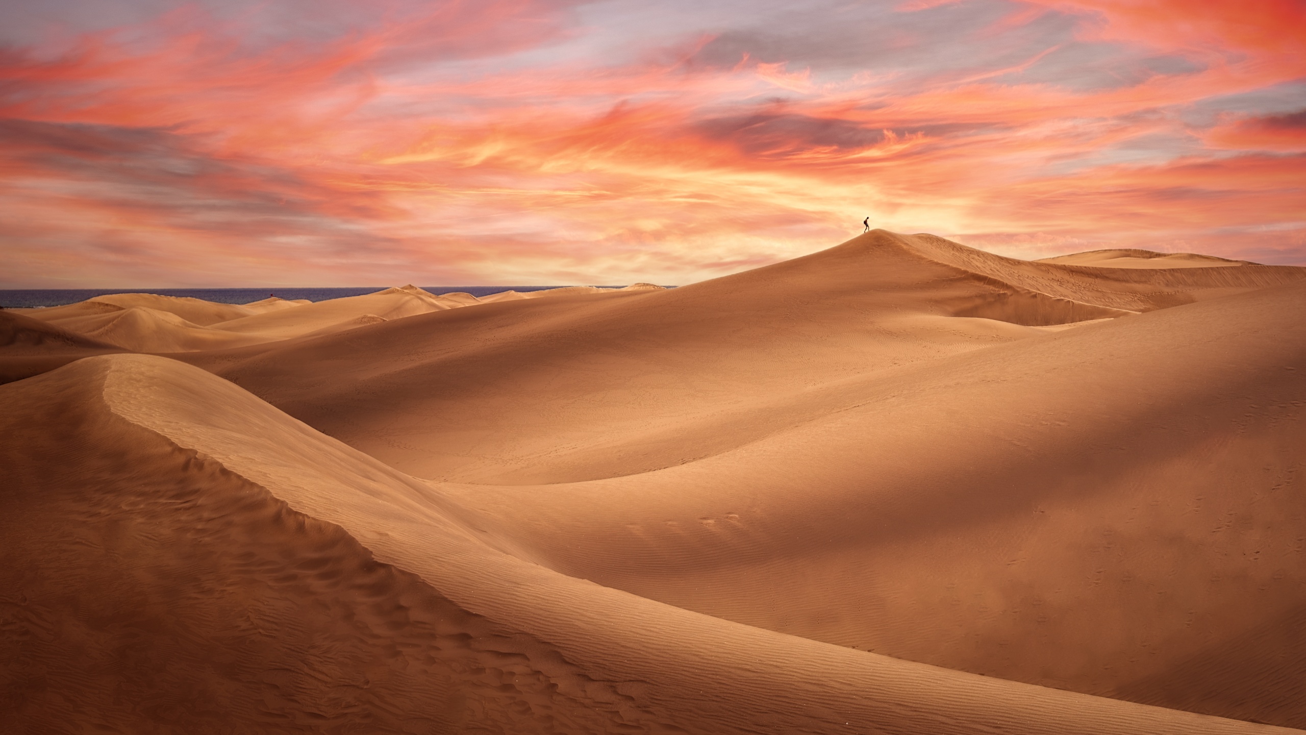 Desert Wallpaper 4K, Sand Dunes, Alone, Nature, #5417