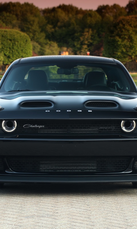 Black Muscle Car Dodge Challenger HD wallpaper download