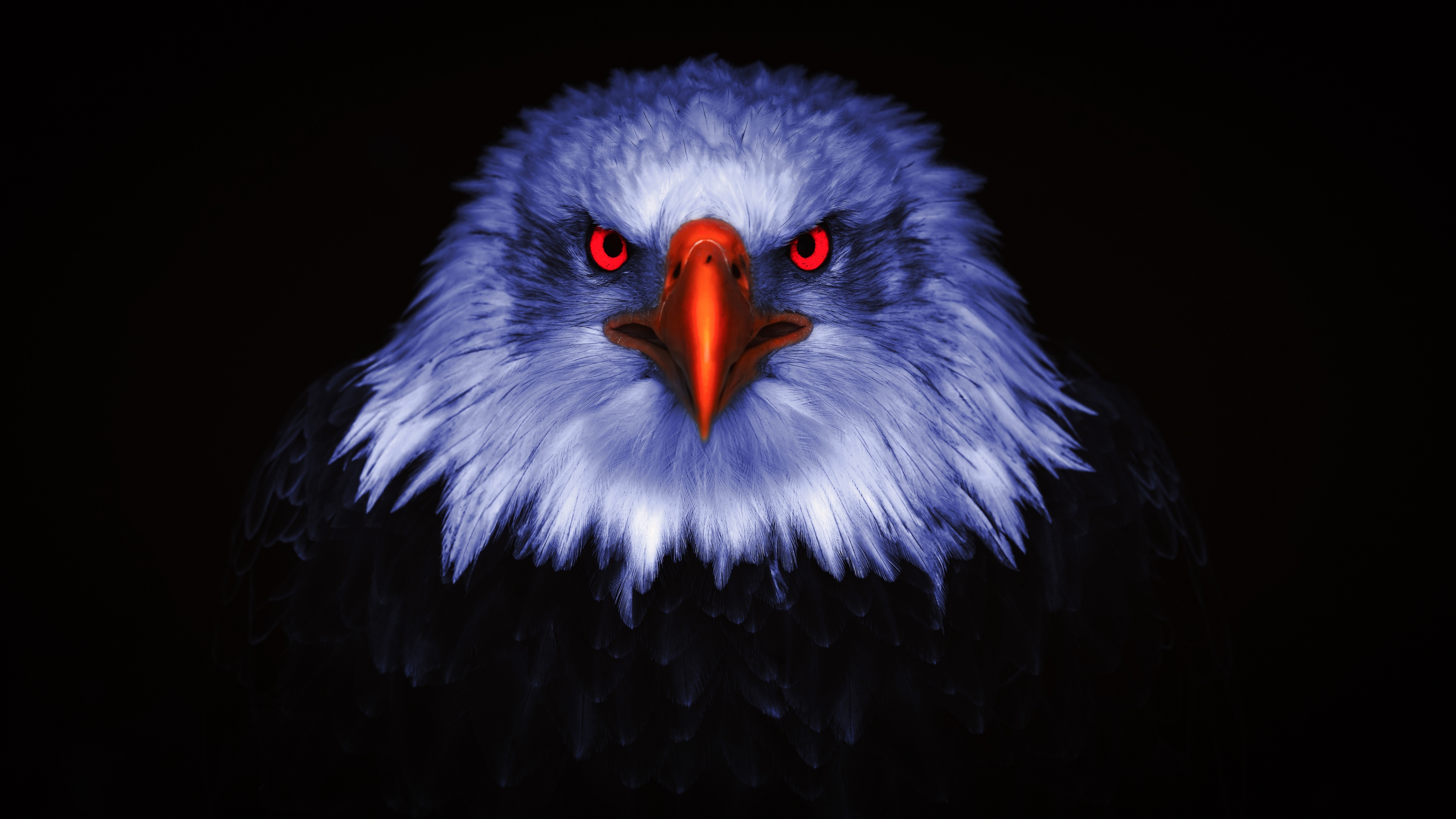Eagle Wallpaper 4K, Bird of prey, Raptors, Red eyes