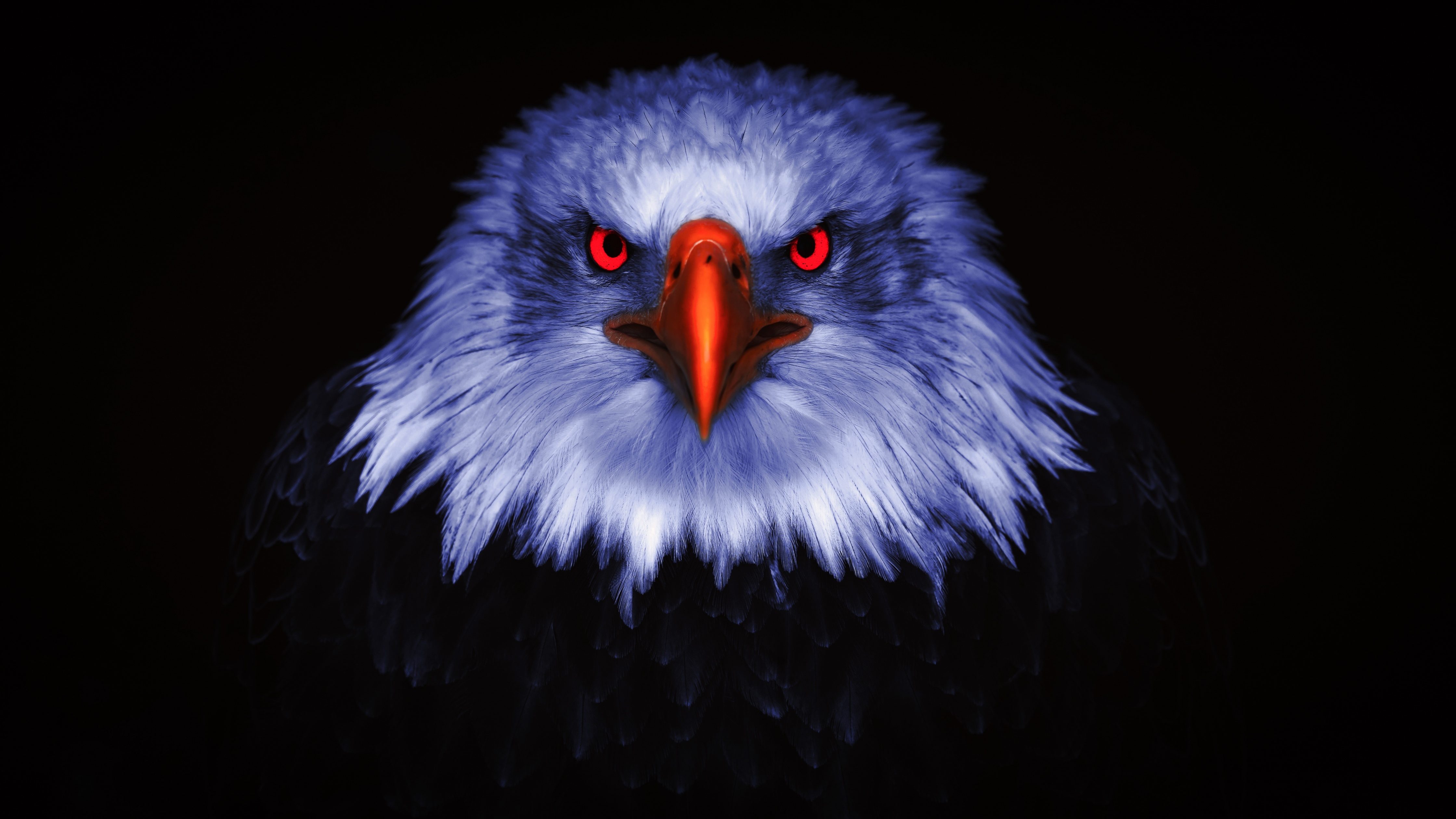 Evil eagle Wallpaper 4k Ultra HD ID11361